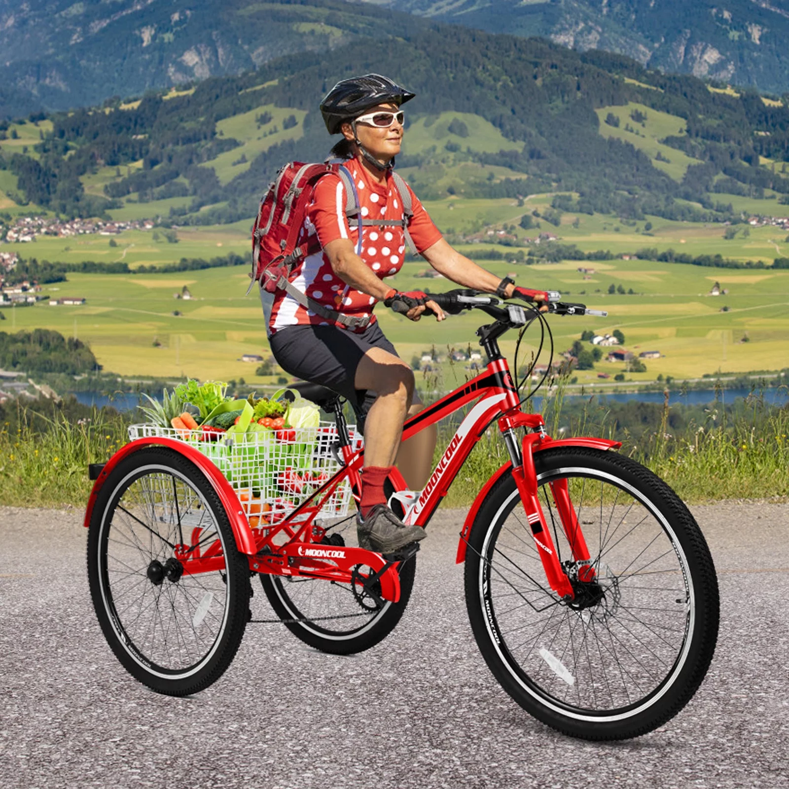 Slsy Mountain Tricycle for Adults, 24/26/27.5 Inch MTB 7 Speed Three Wheel Bike, Adults Tricycle with Cargo Basket for Adults, Women, Men, Seniors - Womvr