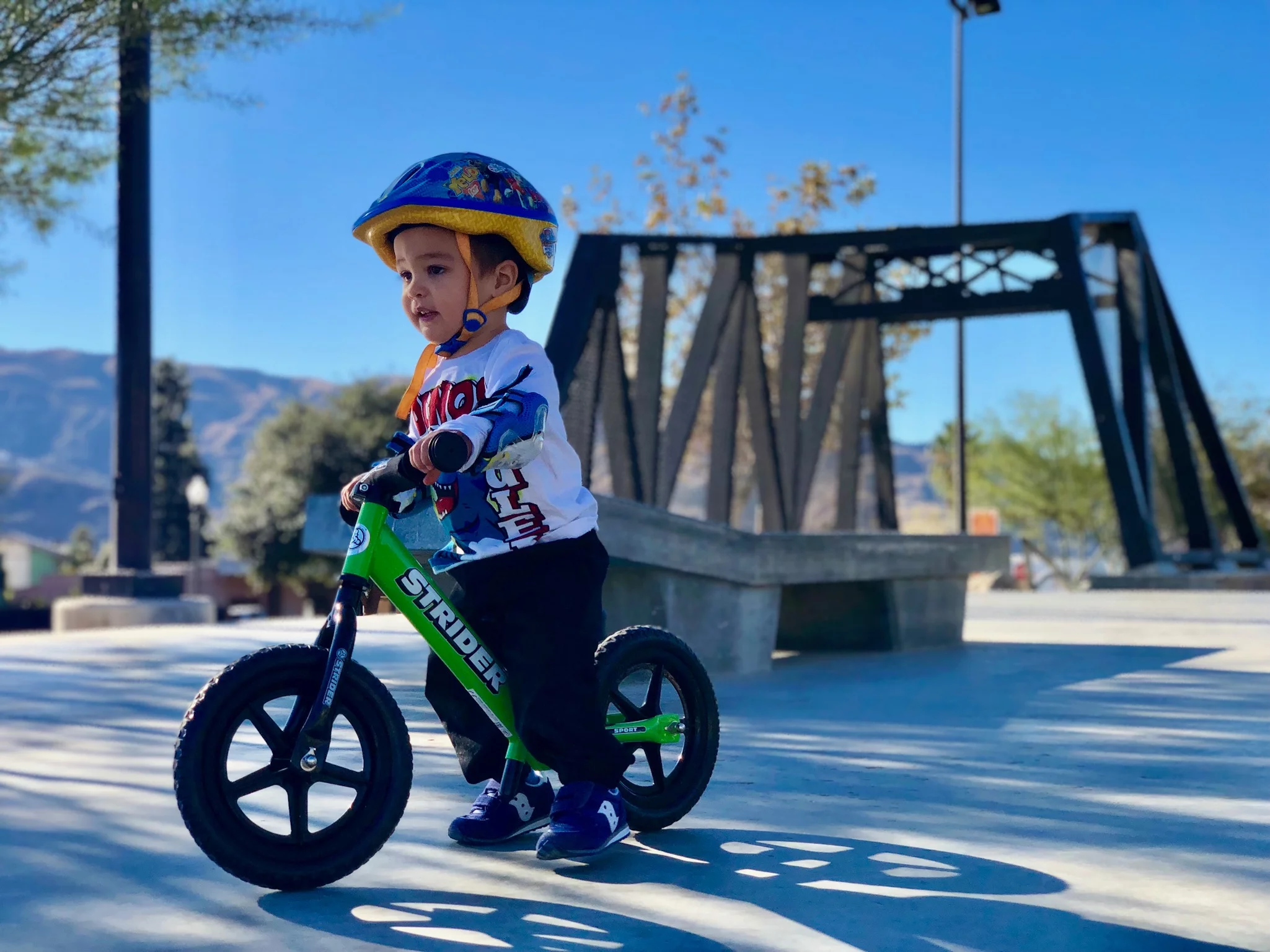 Strider - 12 Sport Balance Bike, Ages 18 Months to 5 Years - Blue - Womvr