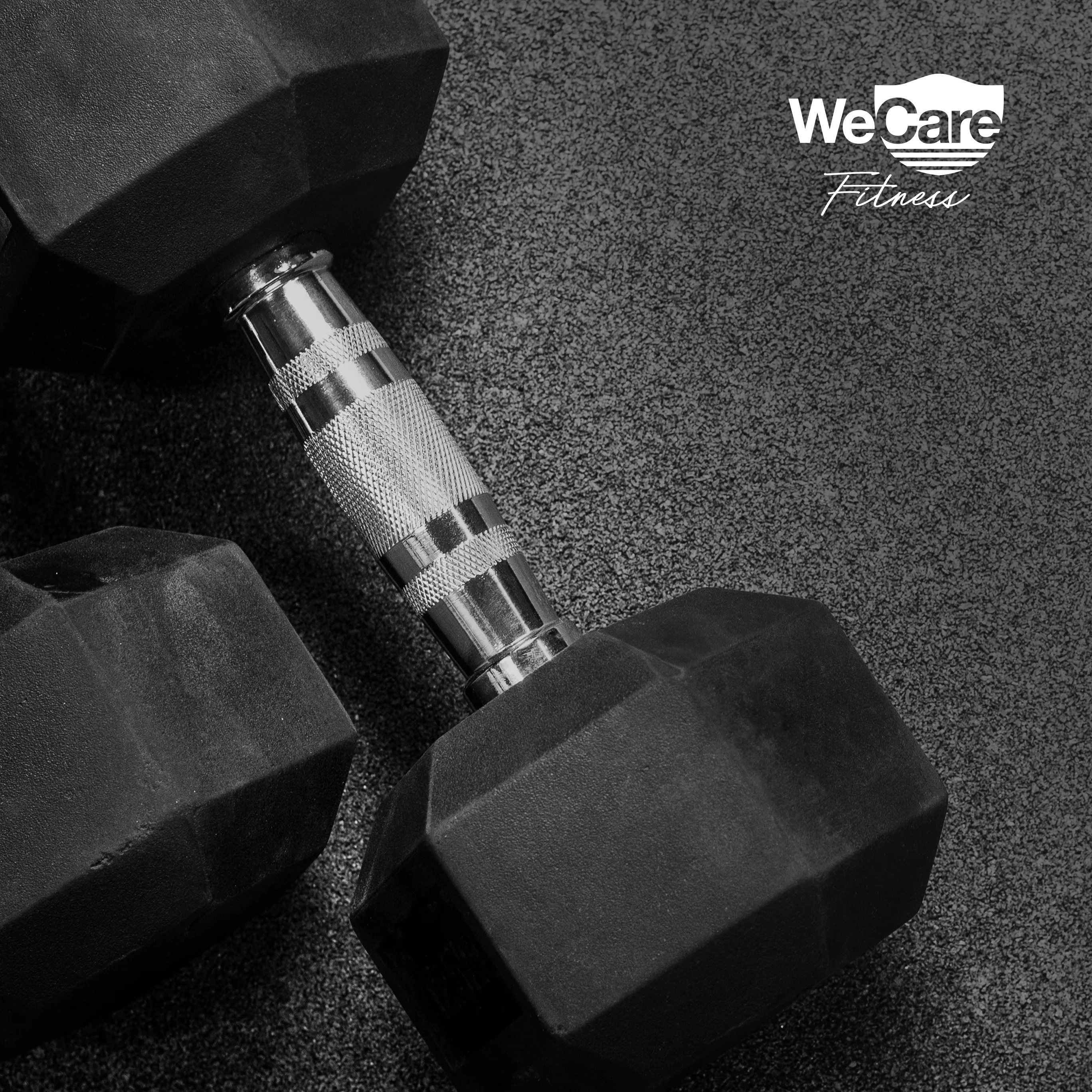 WeCare Fitness, 20lb Rubber Chrome Dumbbells, Pair - Womvr