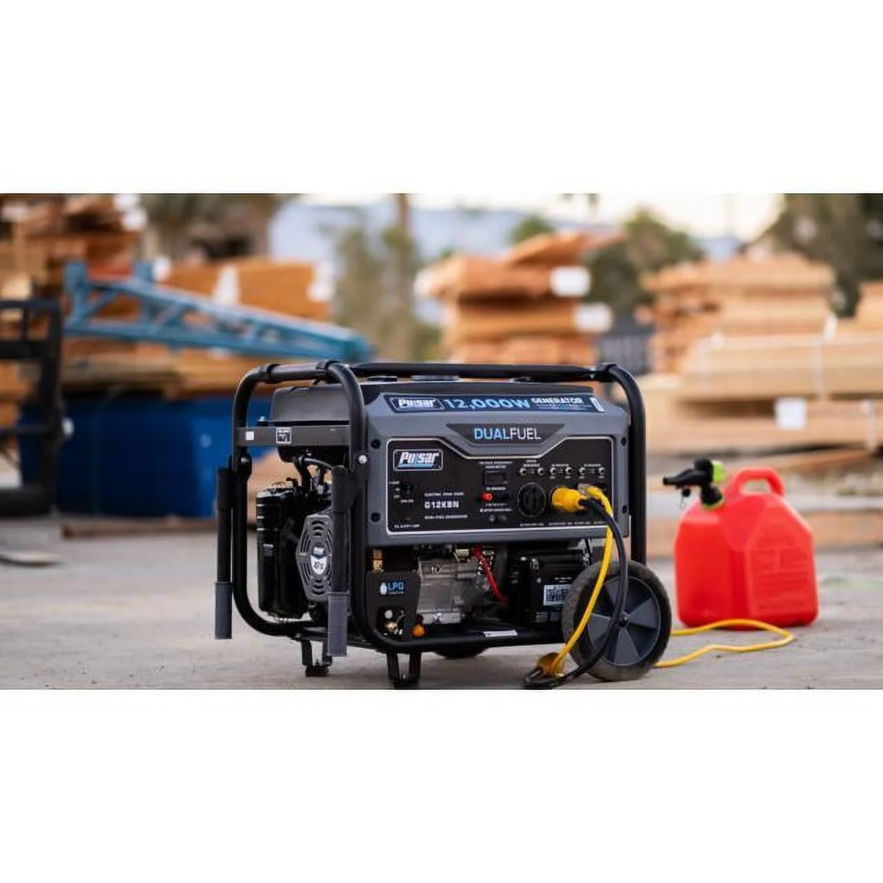 Pulsar 12,000W Dual Fuel Portable Generator in Space Gray with Electric Start, G12KBN - Womvr