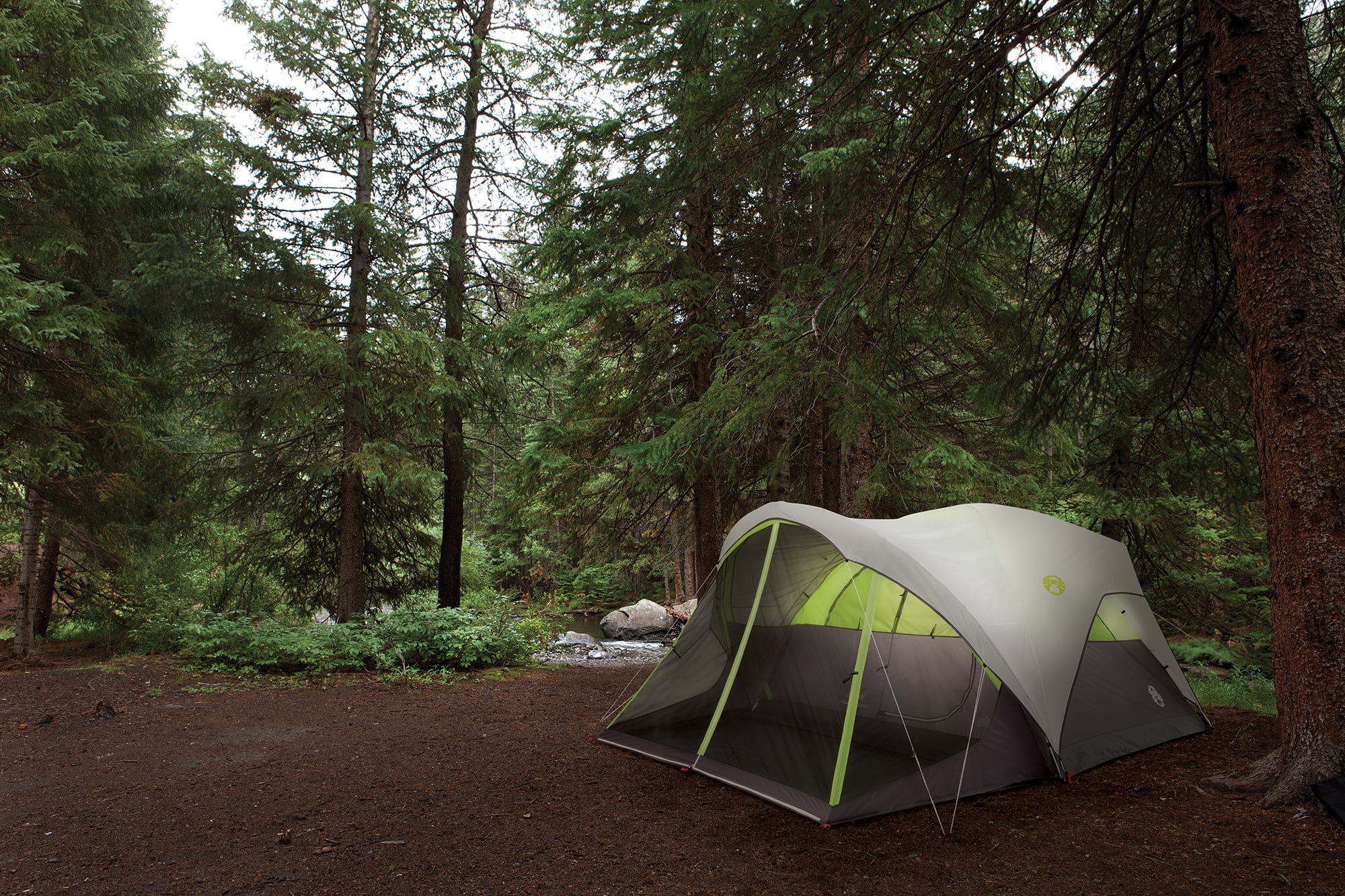 Coleman? 6-Person Steel Creek? Fast Pitch? Dome Camping Tent with Screen Room, Green - Womvr