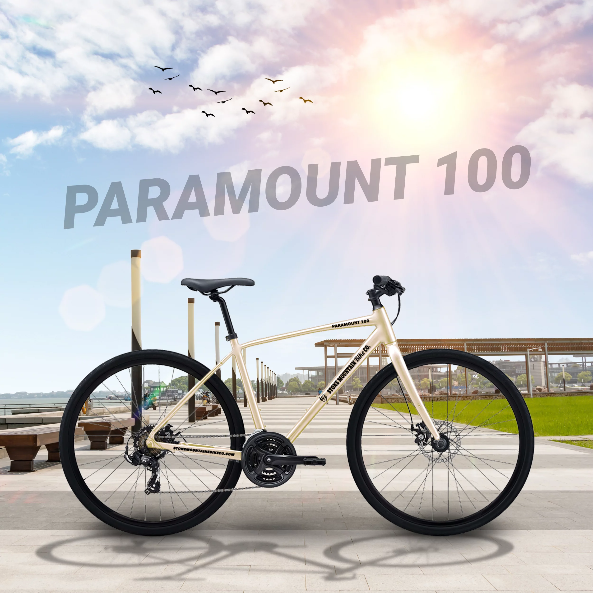 Paramount 100 Hybrid Mountain Bike, 29 x 2 Inch Wheels, 21-Speed, Light Weight Bike for Men & Women, White, Adults Bike Speed Rear Derailleur, Front and Rear Disc Brakes - Womvr