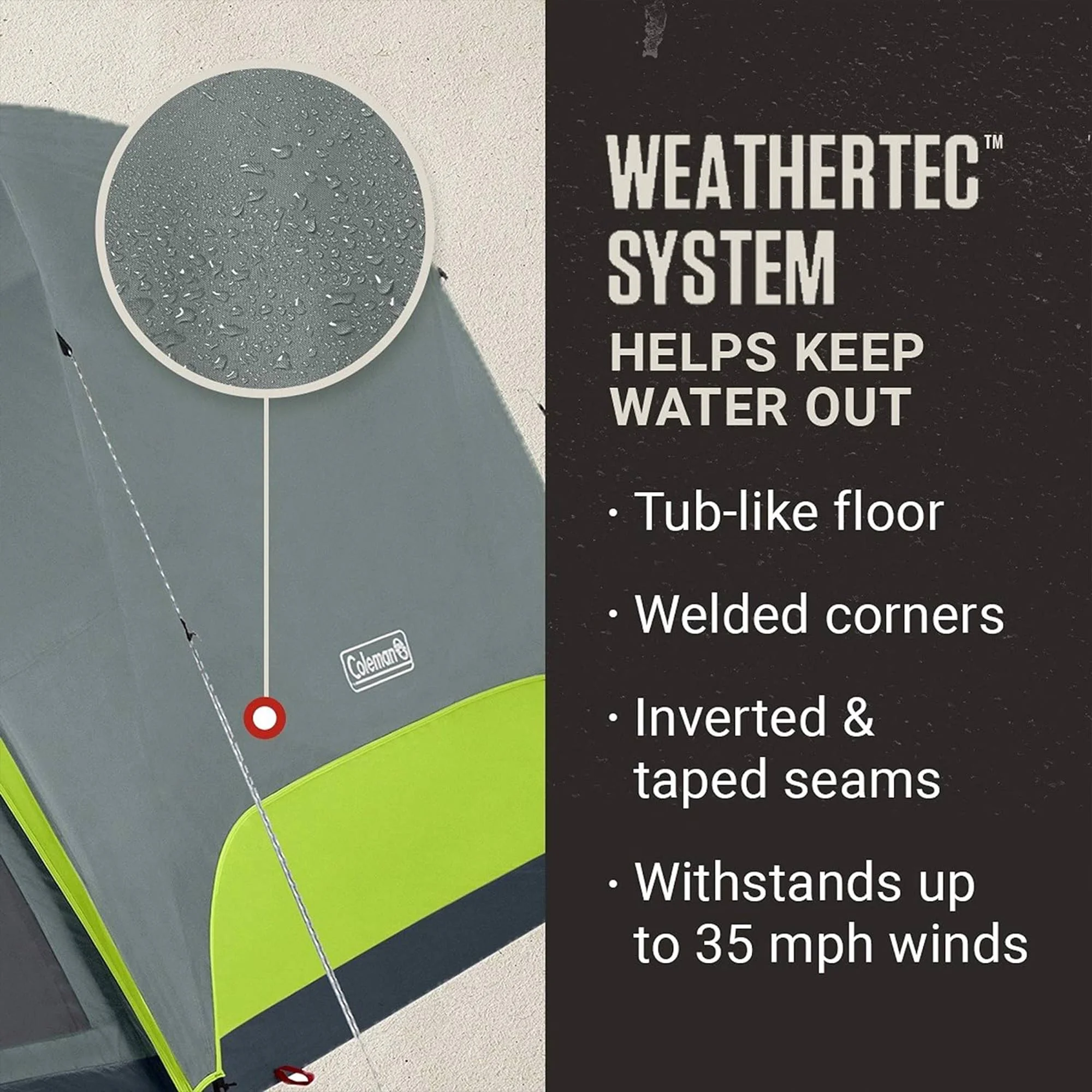 Coleman Skydome 6 Person Camping Tent with Screen Room and Bag, Rock Gray - Womvr