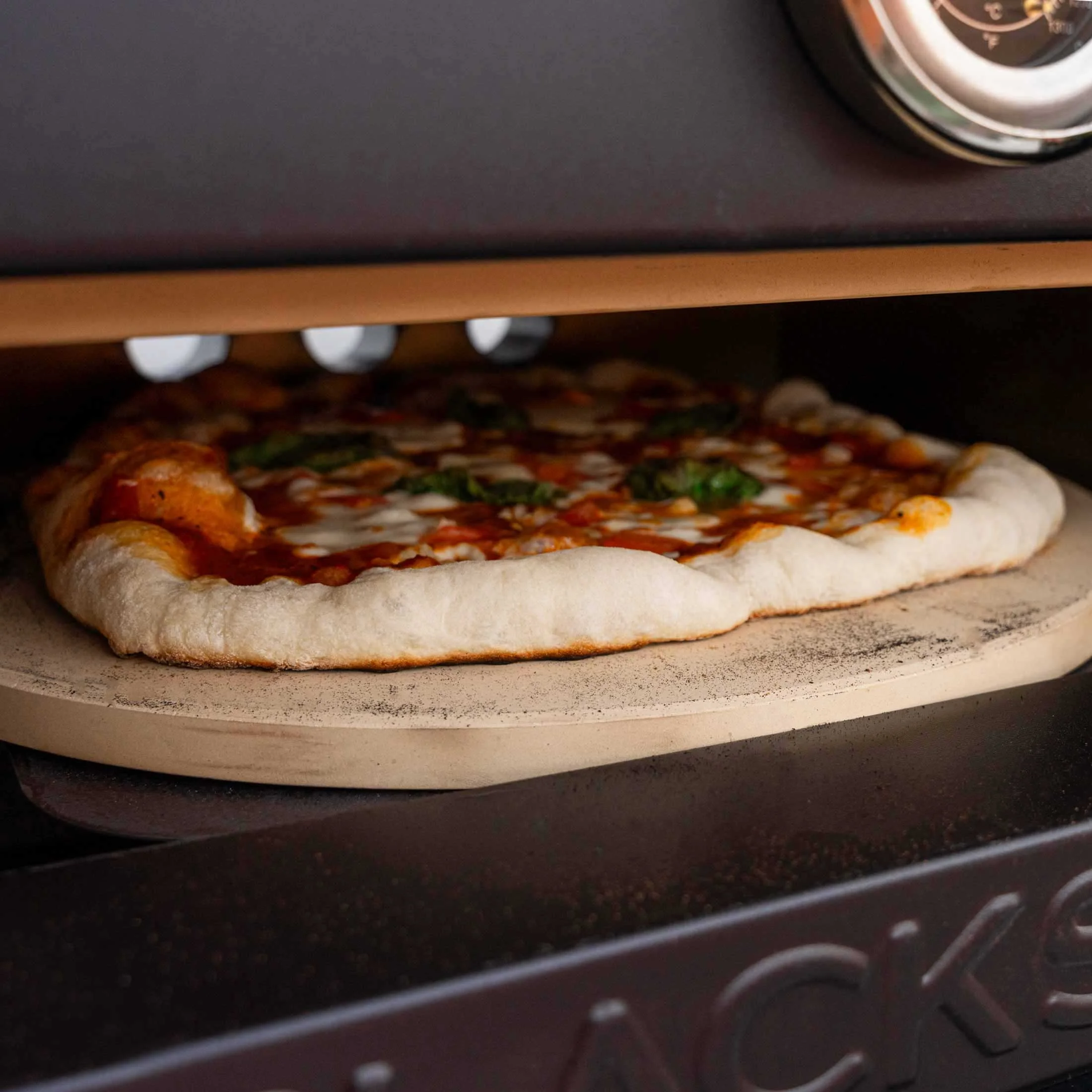 Blackstone On The Go 17