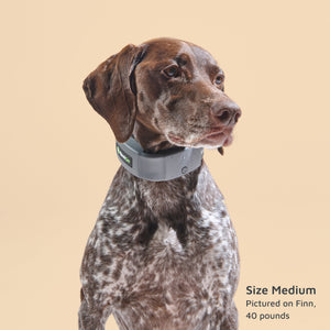 SpotOn GPS Dog Fence? - Womvr