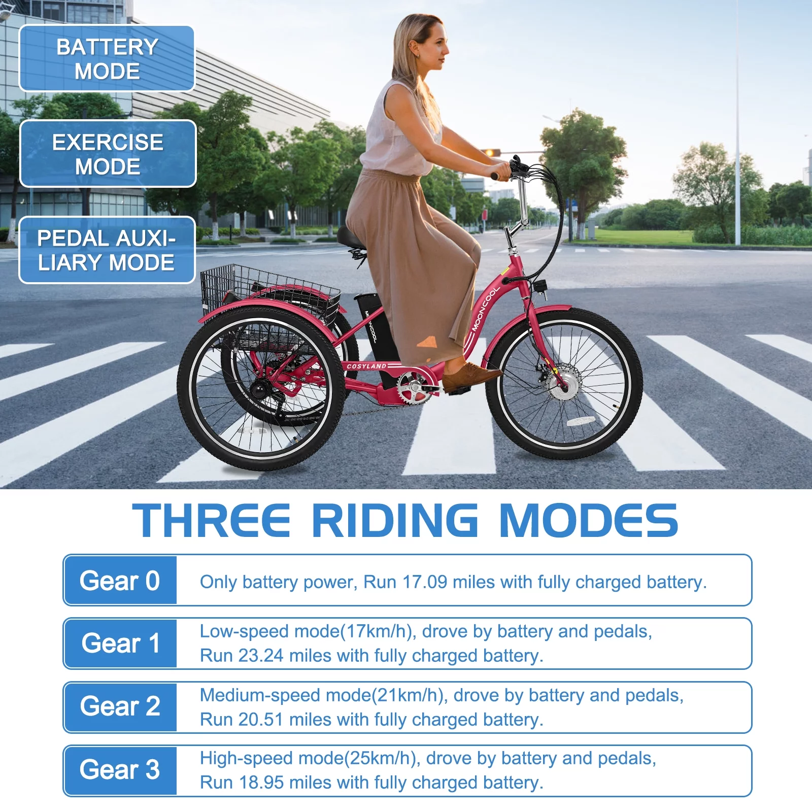 Docred 3 Wheel Electric Bike, 15.5 mph 500W Electric Tricycles for Adult .36V 7 Speeds Electric Trike,24In - Womvr