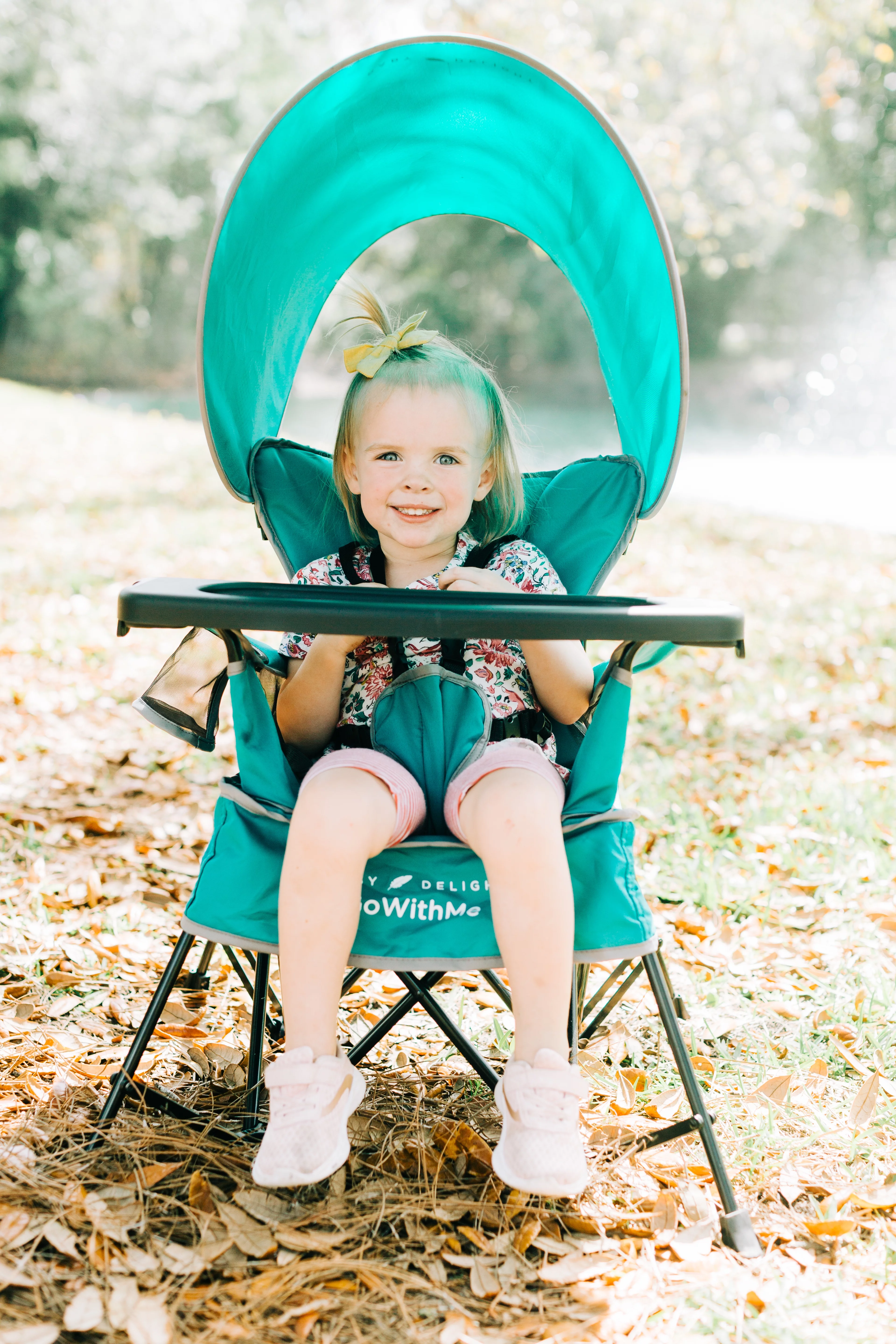 Baby Delight Go with Me Jubilee Deluxe Portable Infant Chair, Removable Canopy, Teal - Womvr