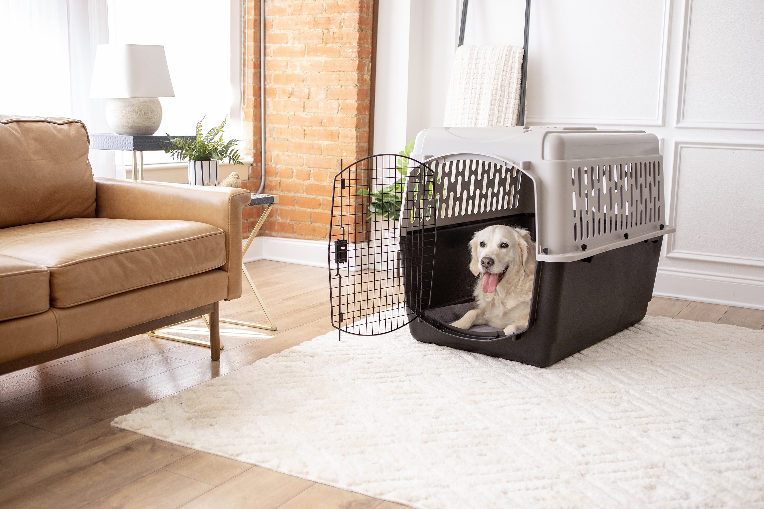 Vibrant Life Pet Kennel 19