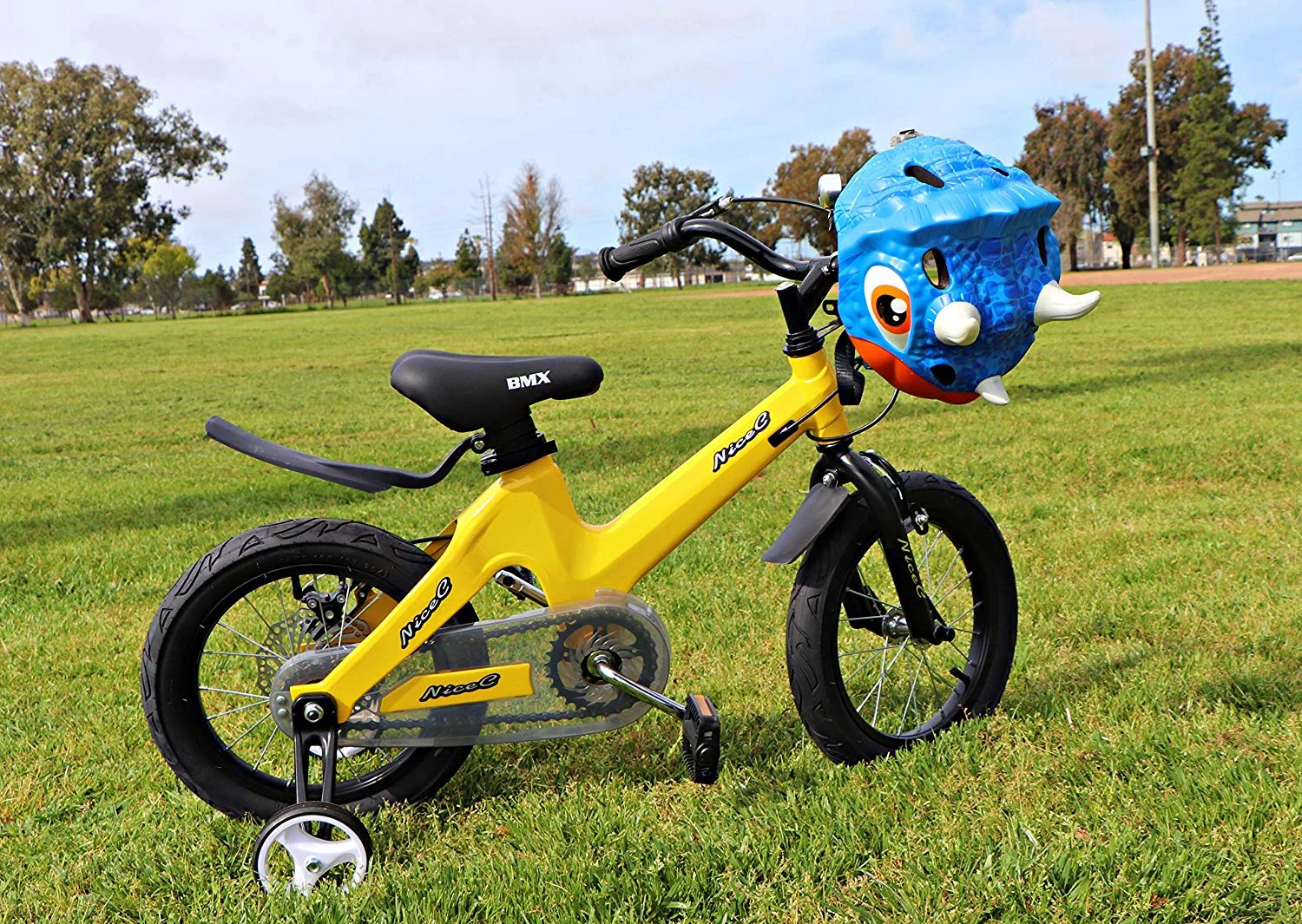 Nice C 12 In., BMX Kids Bicycle, Champagne - Womvr