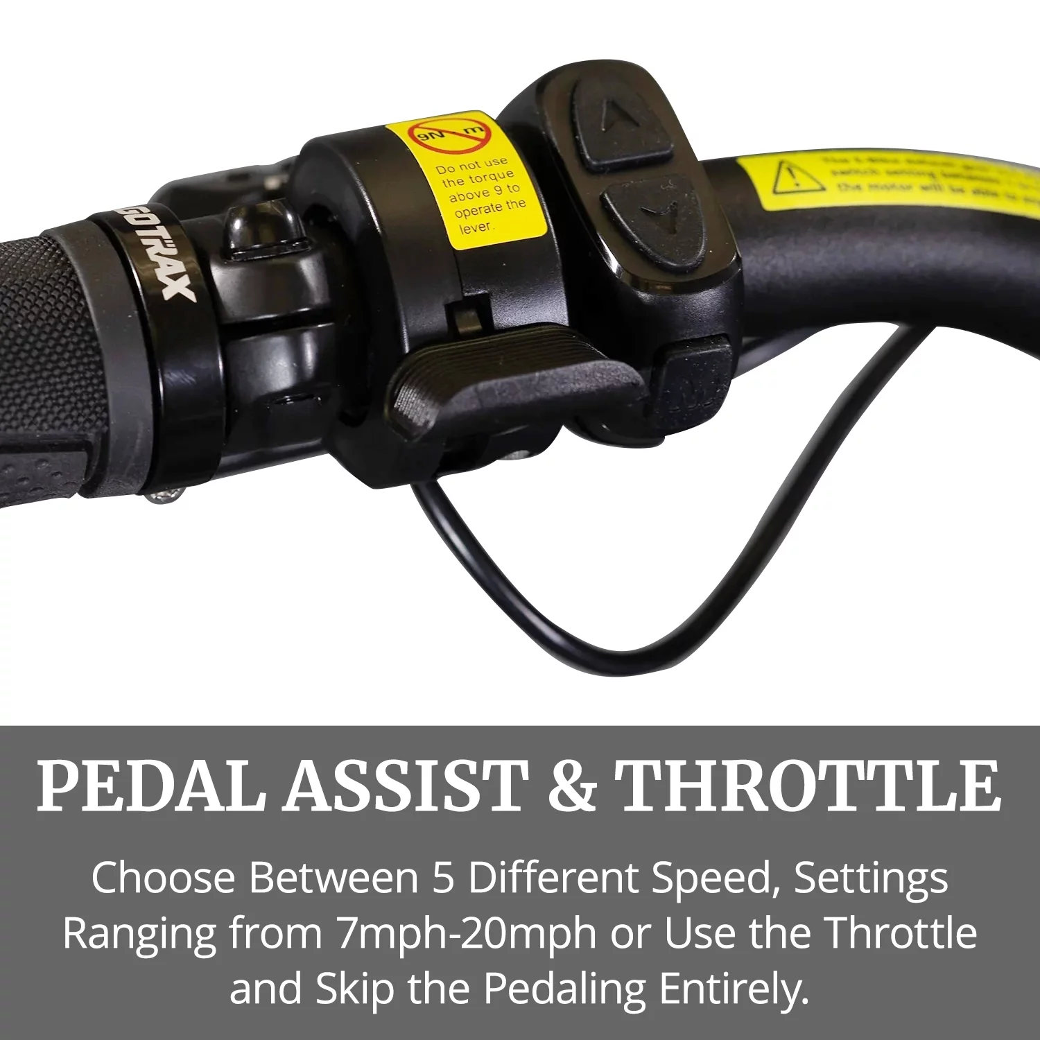 GOTRAX Tundra Electric Bike for Adults, 750W 48V 26