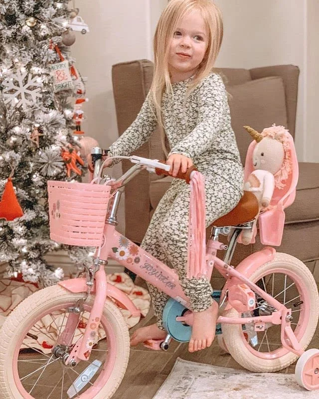 JOYSTAR Little Daisy 16 Inch Kids Bike for 4 5 6 7 Years Girls with Handbrake 16