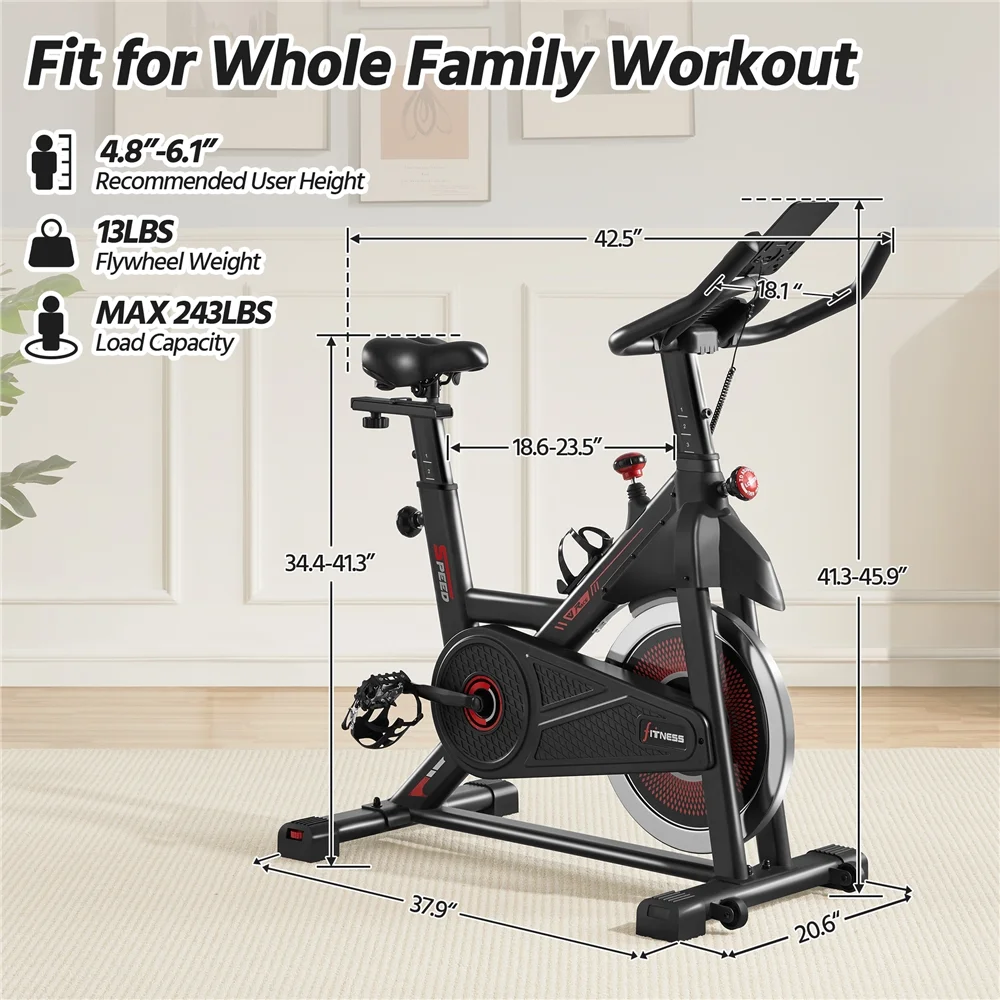Easyfashion Brake Pad Exercise Bike with Height-Adjustable Padded Seat & Handlebar,Black - Womvr