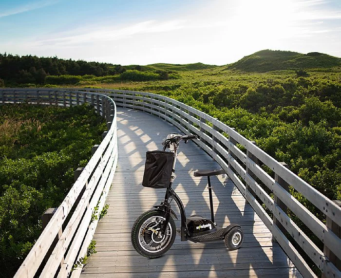 eWheels EW-18 - The Stand n Ride Scooter 3-Wheel - Womvr