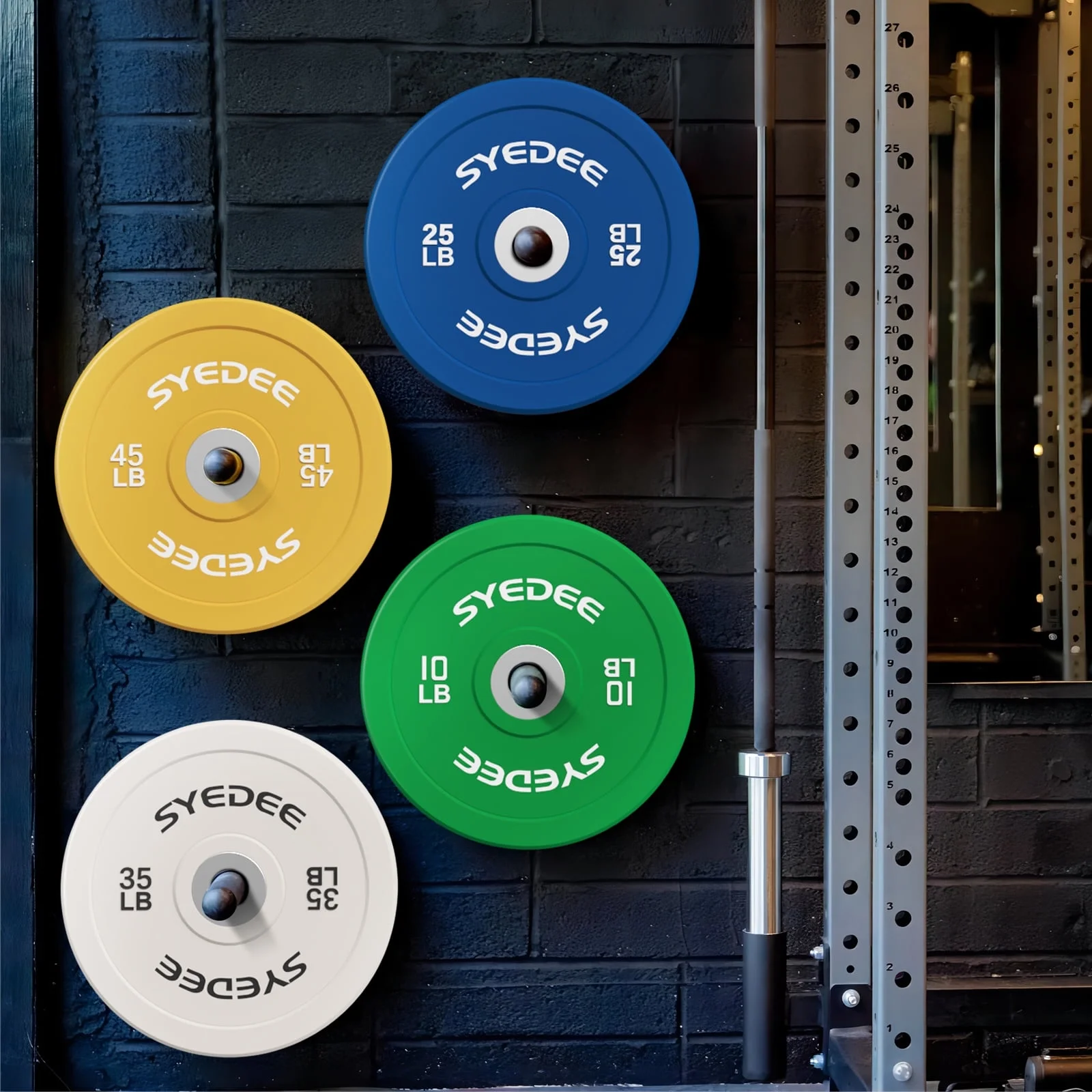 syedee Plate Loaded Deltoid and Shoulder Press Machine with Adjustable Seat and Backrest, 800 Weight Capacity Upper Body Machine for Shoulder Muscle - Womvr