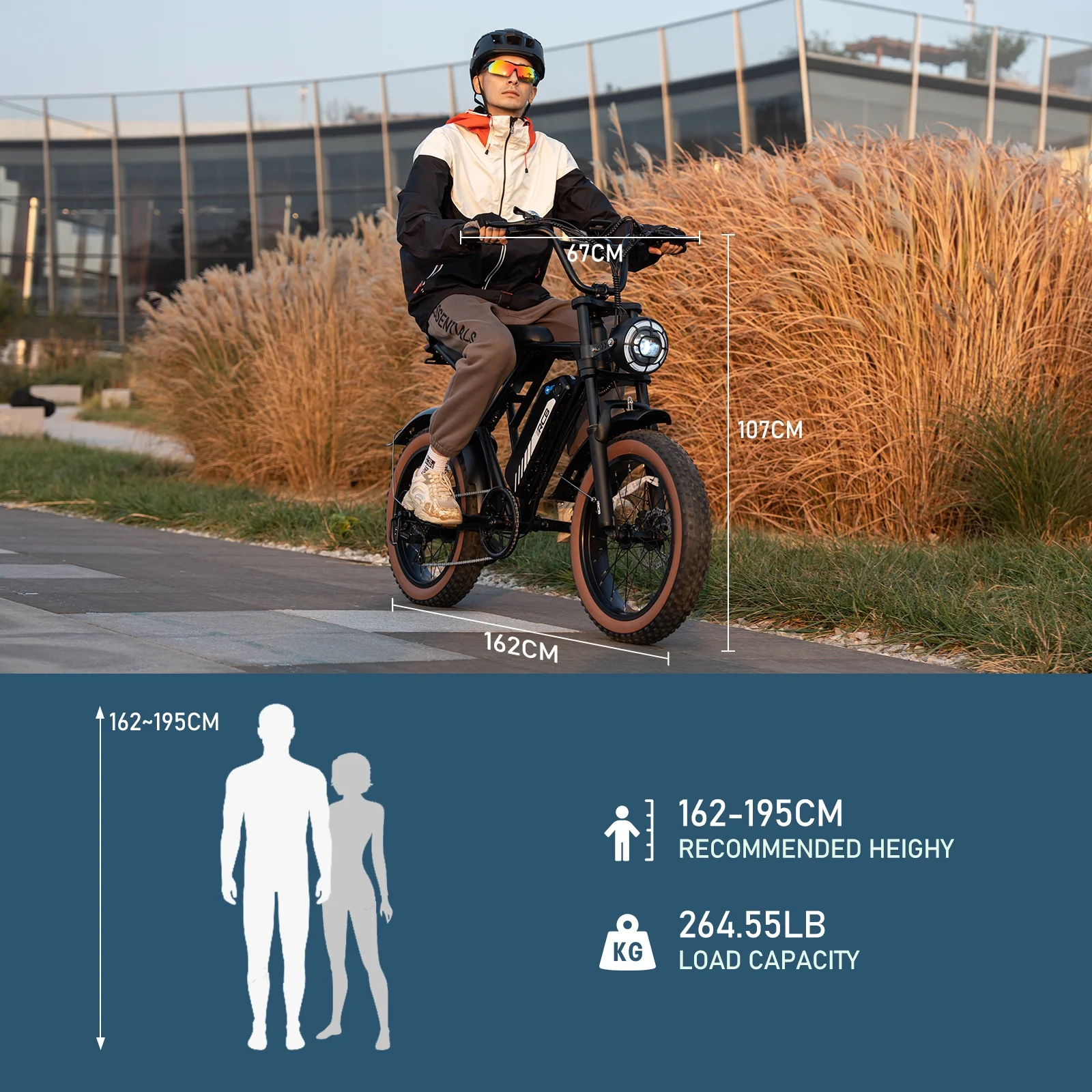 RCB 750W Electric Bike for Adults, 48V 15Ah Removable Li-Ion Battery, 20