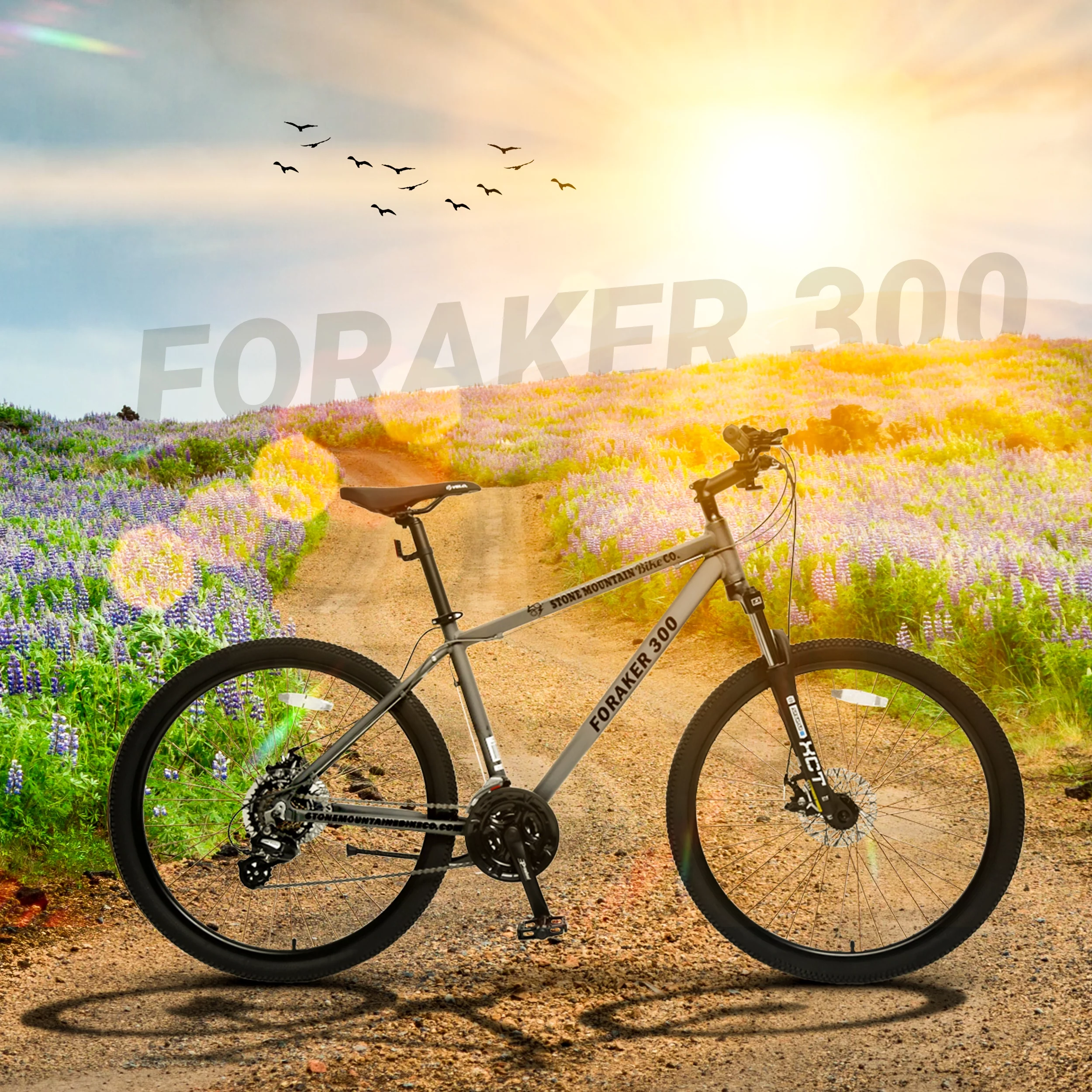 Paramount 100 Hybrid Mountain Bike, 29 x 2 Inch Wheels, 21-Speed, Light Weight Bike for Men & Women, White, Adults Bike Speed Rear Derailleur, Front and Rear Disc Brakes - Womvr