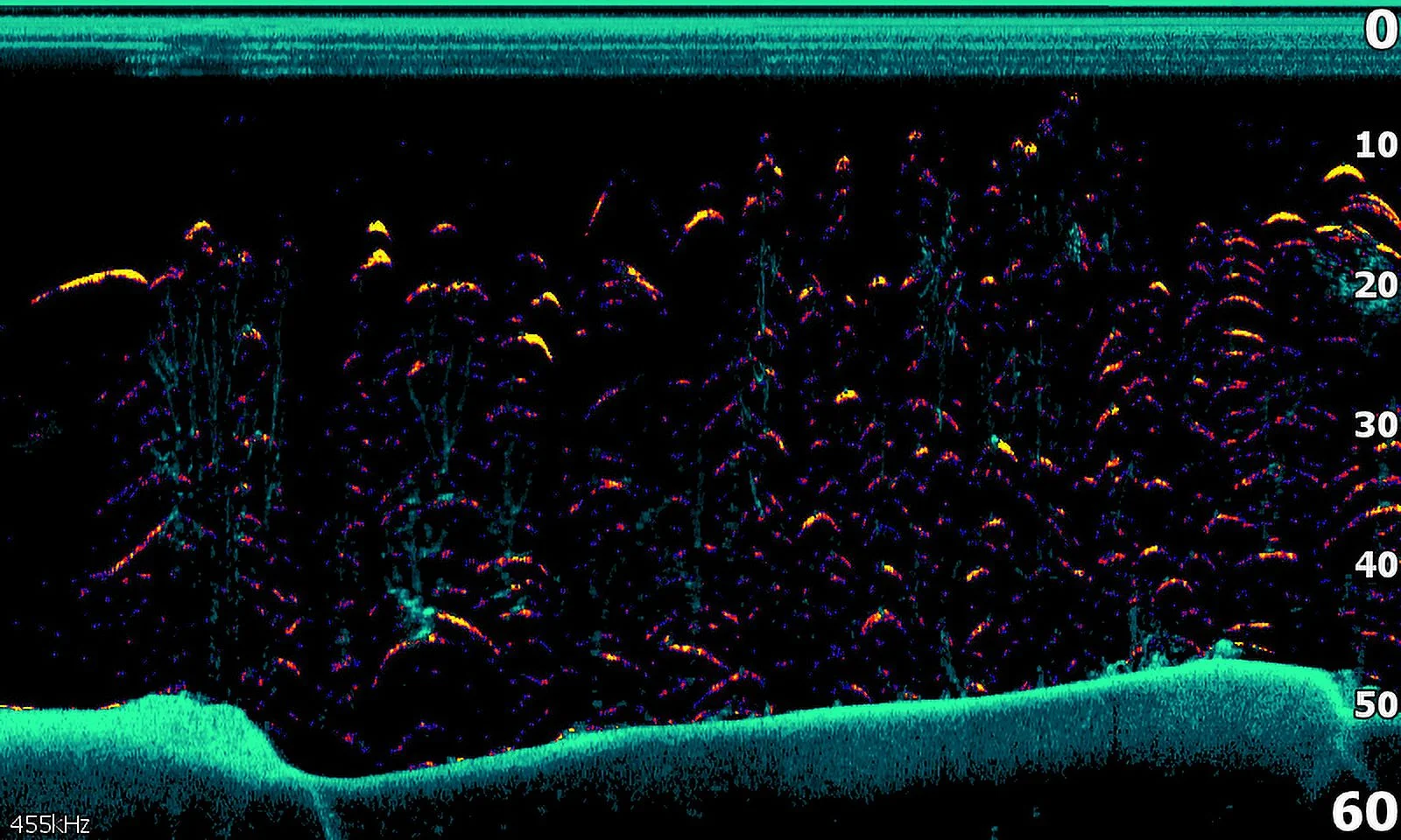 Lowrance Hook Reveal Fish finder Splitsht with Down scan Imaging without Mapping - Womvr