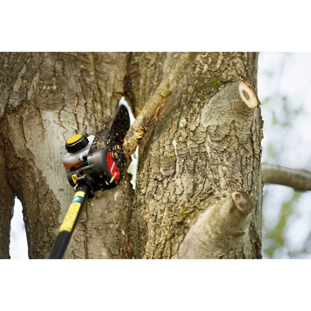 Troy-Bilt 41CD25PS766 25cc 8 in. Gas Pole Saw - Womvr