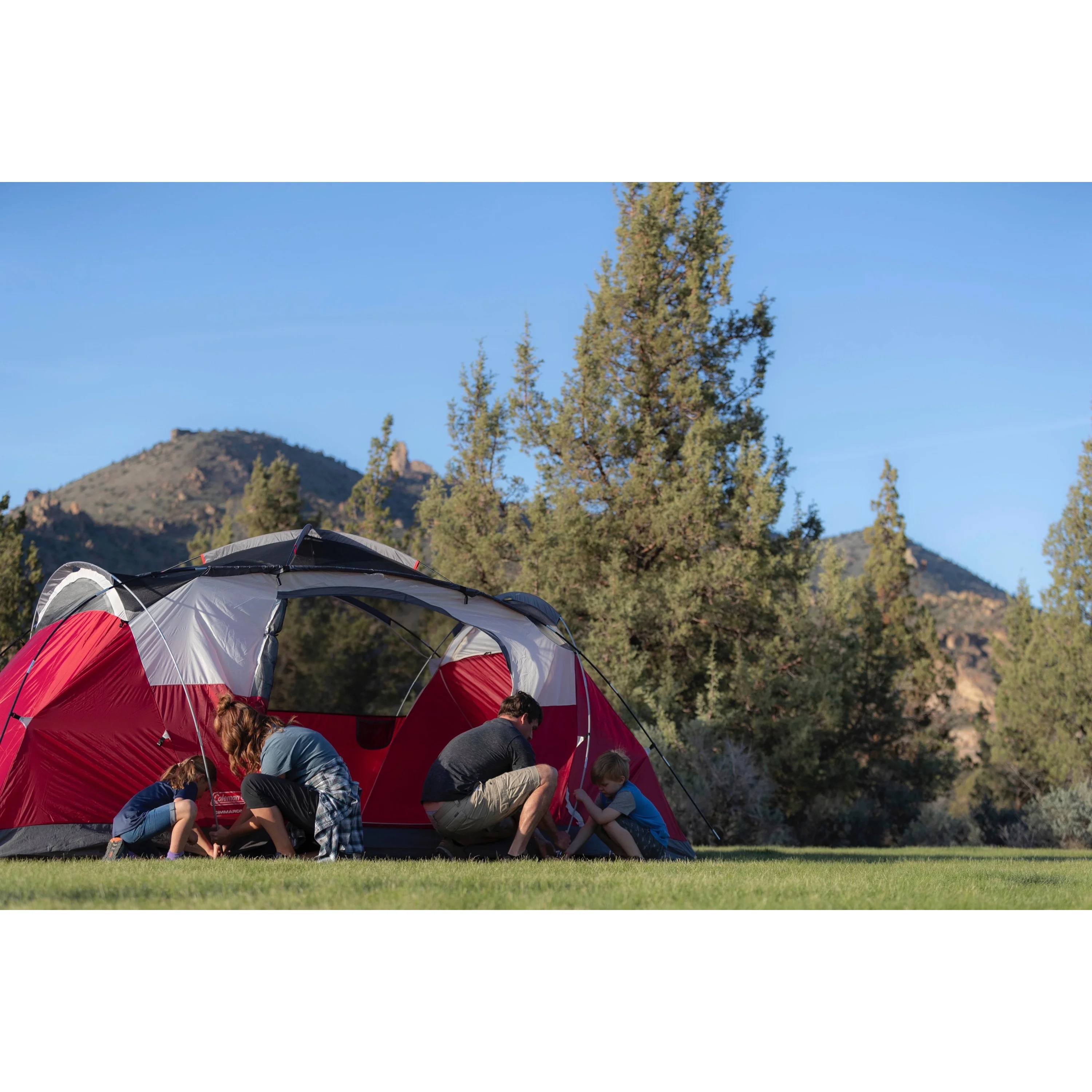 Coleman 8-Person Cimarron Dome-Style Camping Tent - Womvr