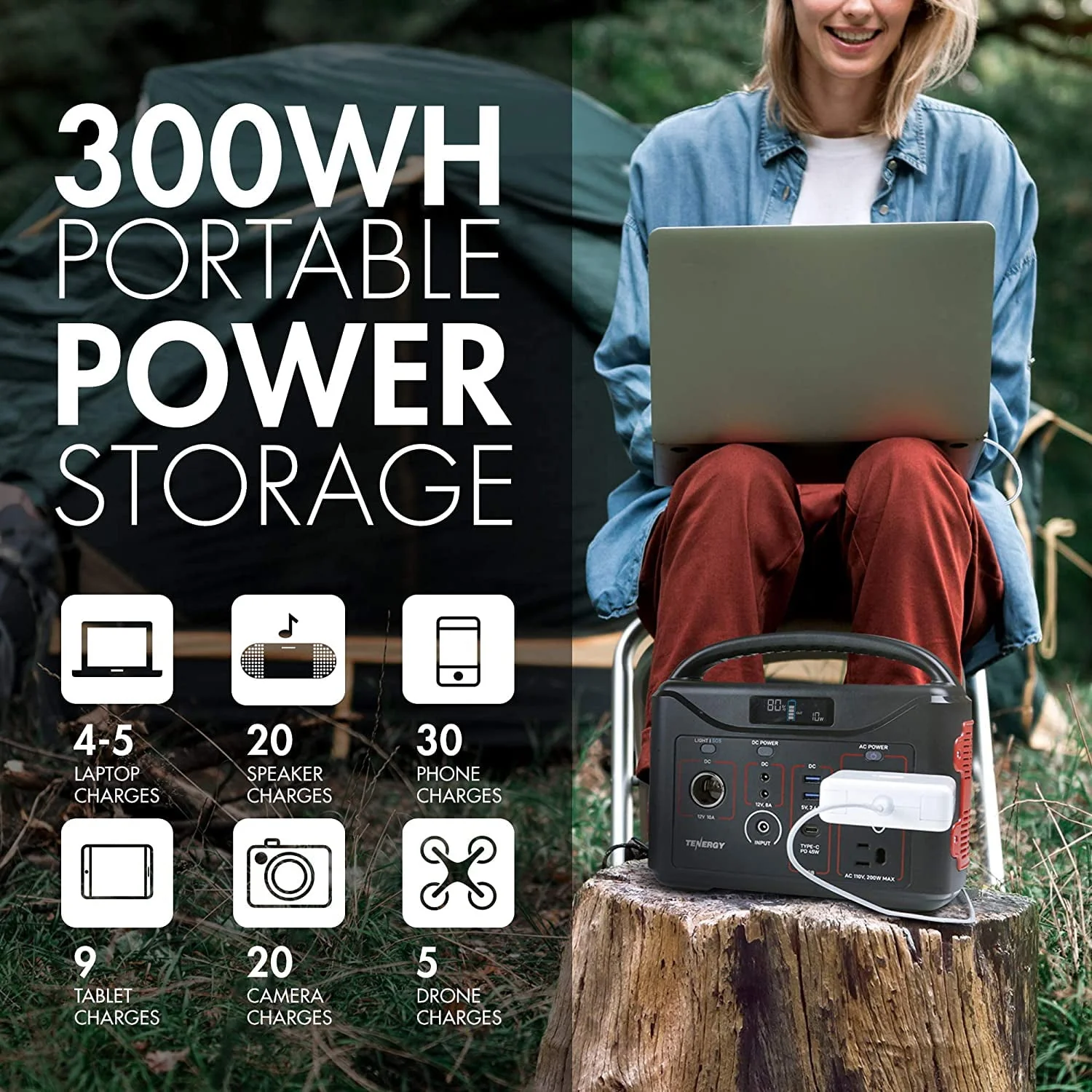 Tenergy 300Wh Portable Power Station / Battery LiFePO4 200W (Surge 400W) - Womvr