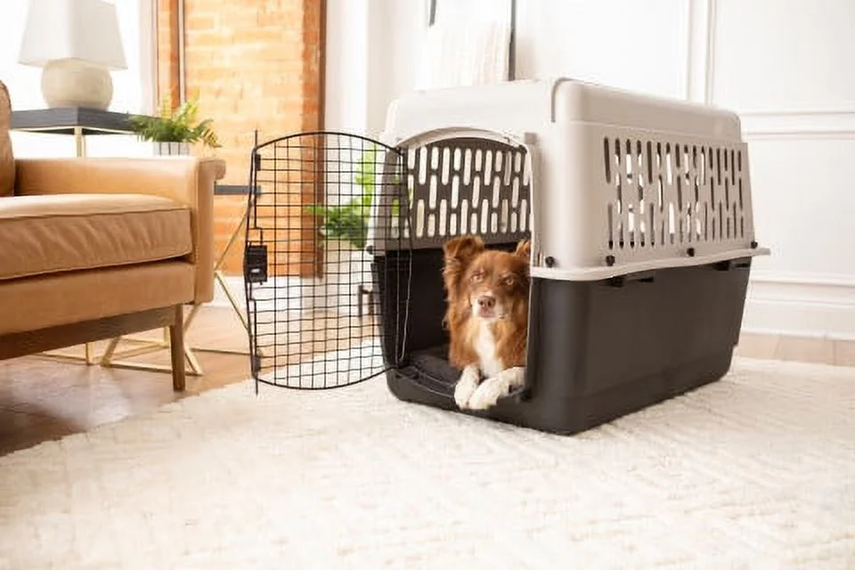 Vibrant Life Pet Kennel 19