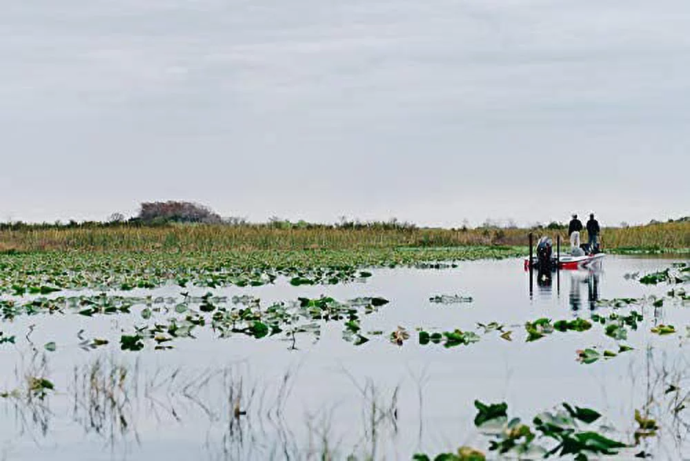 Abu Garcia Zata Spinning Reel, Size 40, Right/Left Hand Position - Womvr