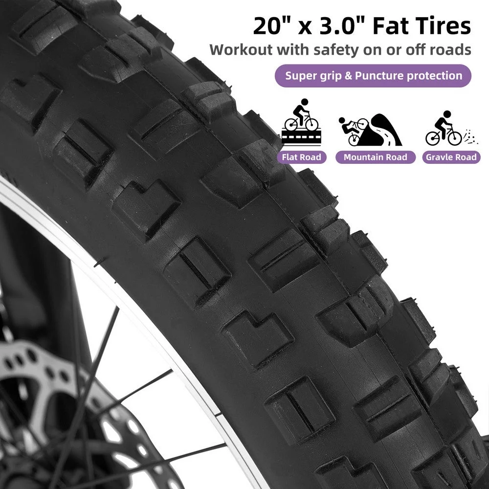 JOYSTAR 20 Inch Mountain Bike for Kids Ages 7-12 Year Old, 3-Inch Wide Knobby Tires, 7 Speed Shimano Drivetrain, Disc Brakes, Fat Tire Kids Bicycles for Boys Girls - Womvr