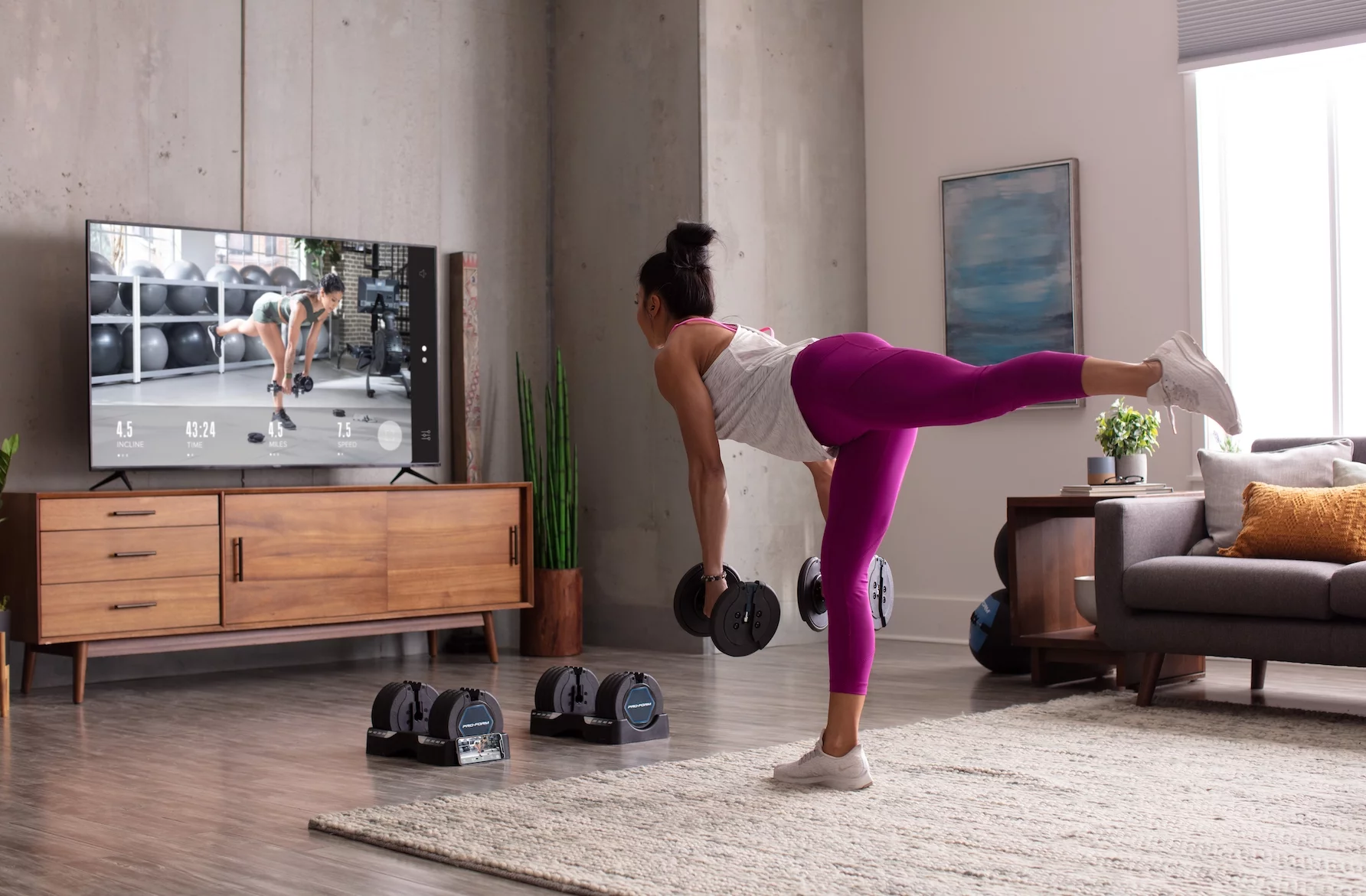 Set of Two ProForm 50 Lb. Adjustable Dumbbells - Womvr