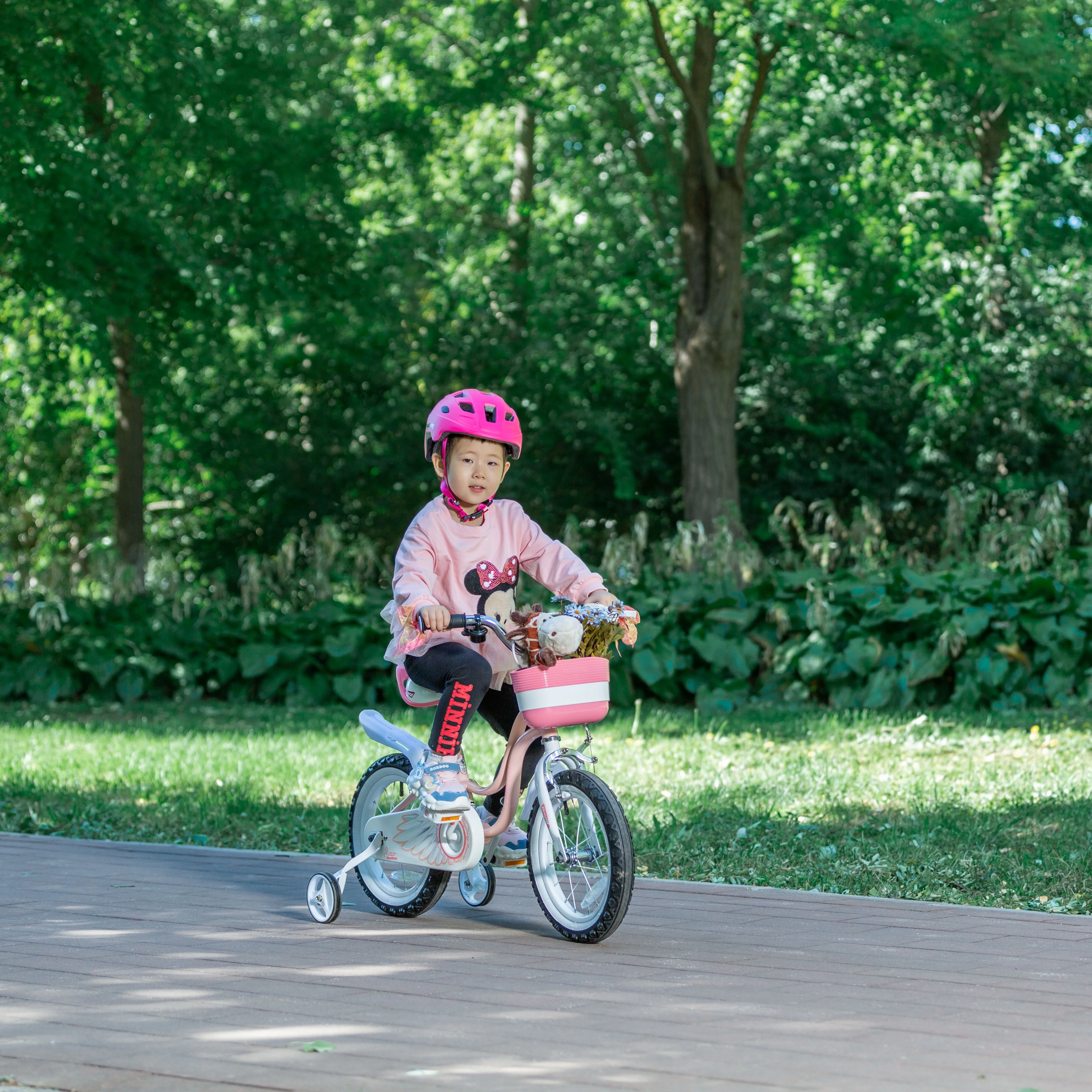 Royalbaby Little Swan Light Pink 16 Girl's Bicycle With Training Wheels and Basket - Womvr