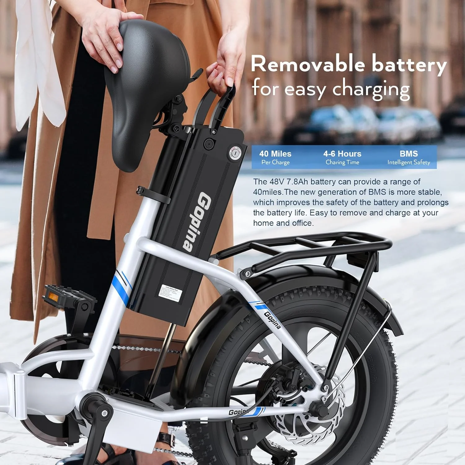 Vivi Electric Bike 16