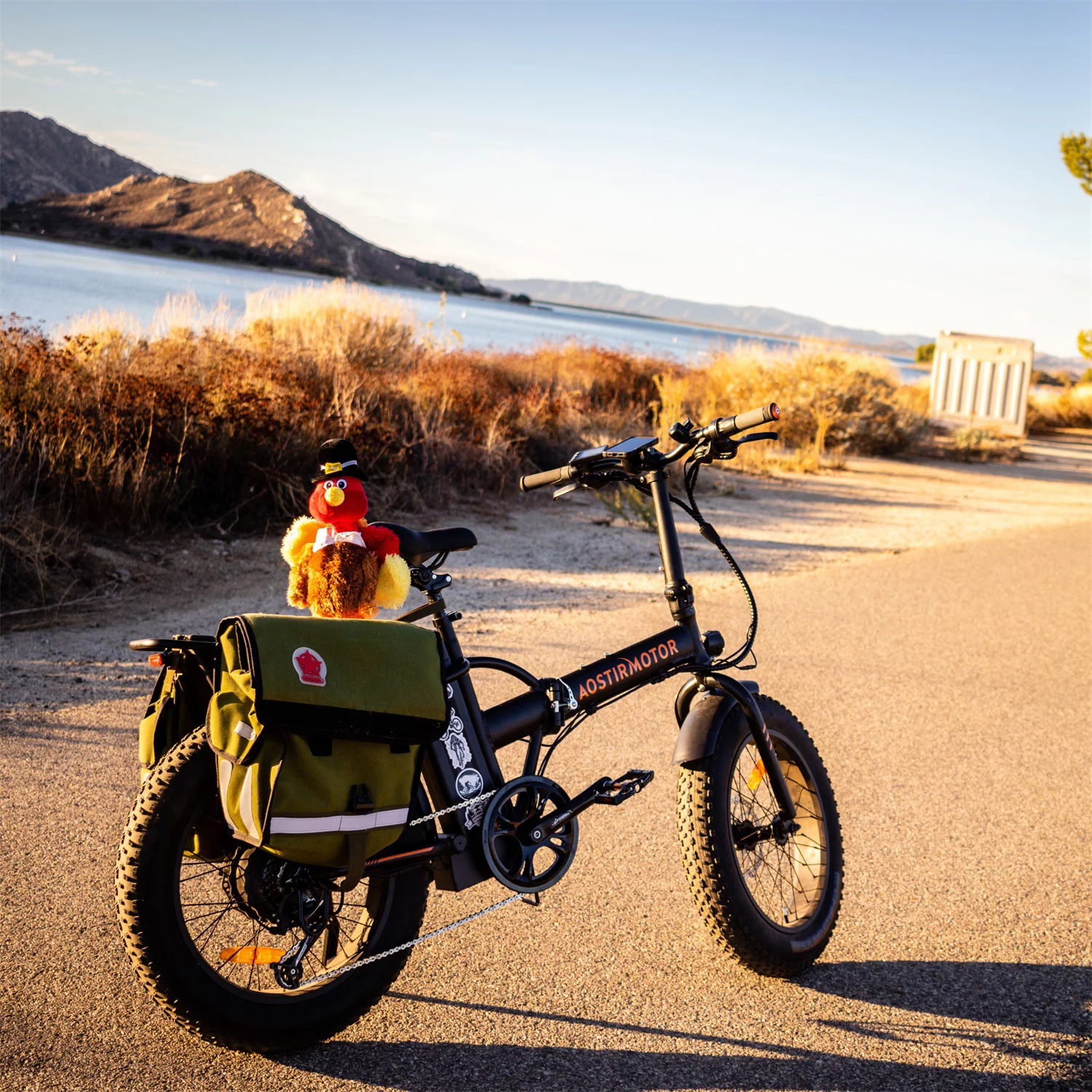 Resenkos 500W Electric Bicycle Foldable for Adults, Professional BMX E-Bike W/ 20