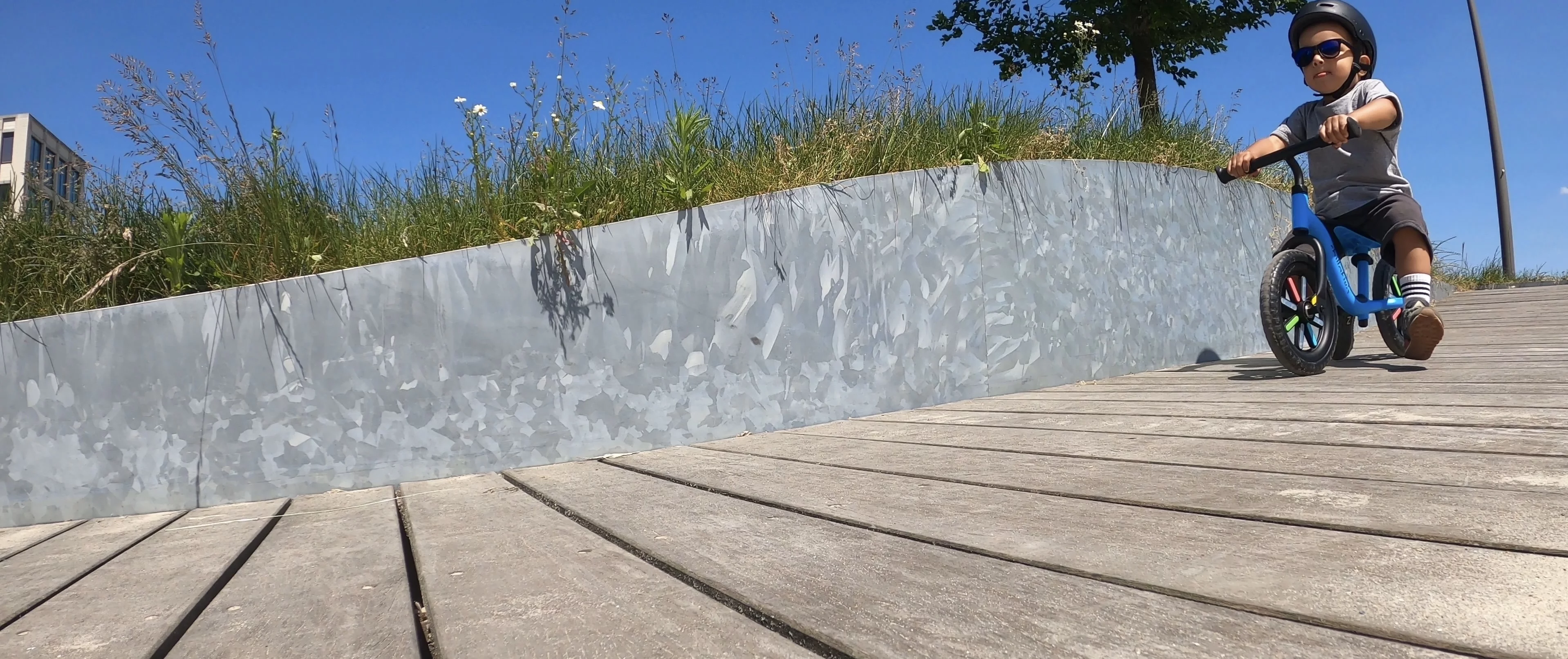 Chillafish Buzzi 10' Balance Bike for Kids 1.5 years and older, Lightweight Toddler Bike with Adjustable Seat - Womvr