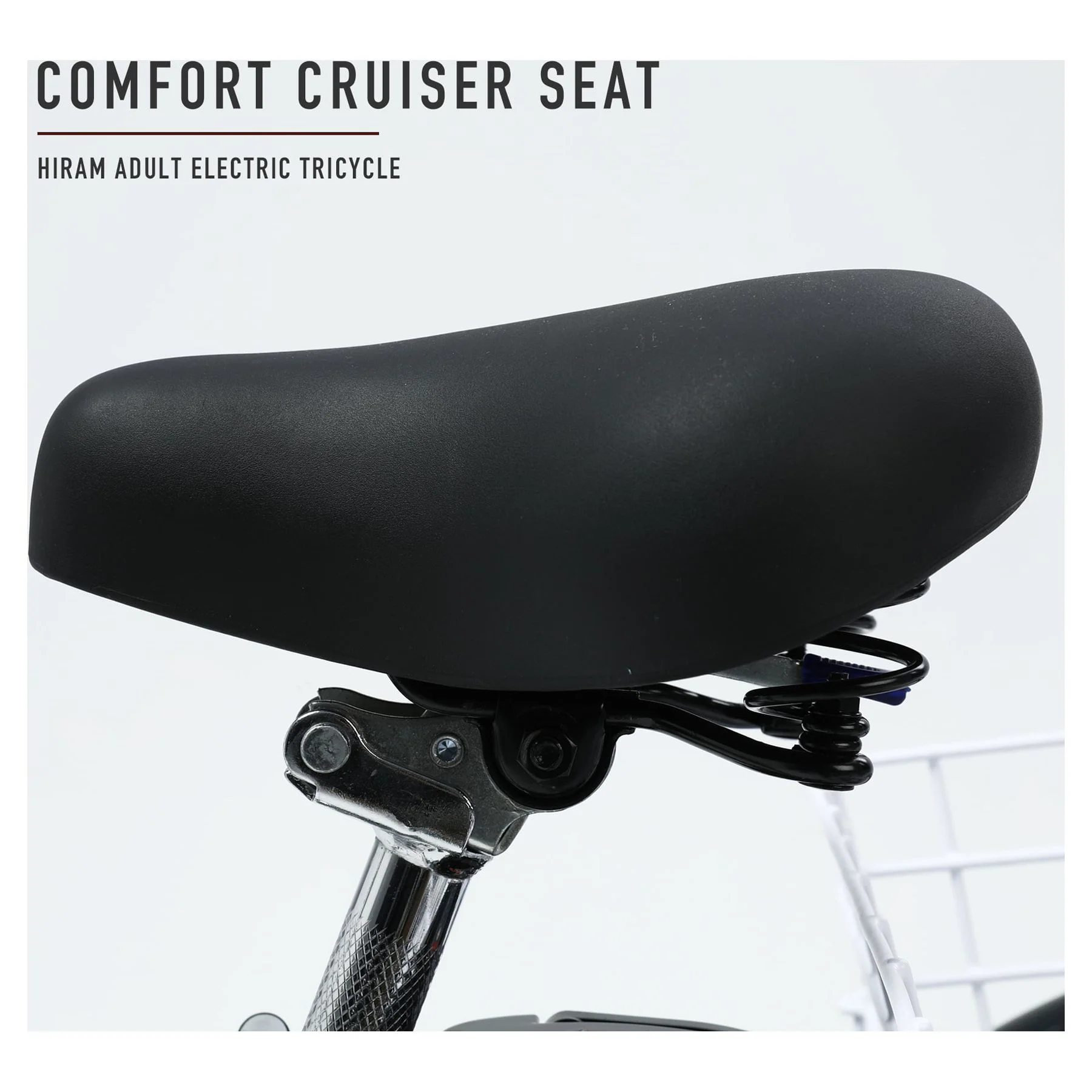 VIRIBUS 24 Inch Electric Trike Bike for Adults 250w 36V 3 Wheel Electric Bicycle for Women Men, Black - Womvr