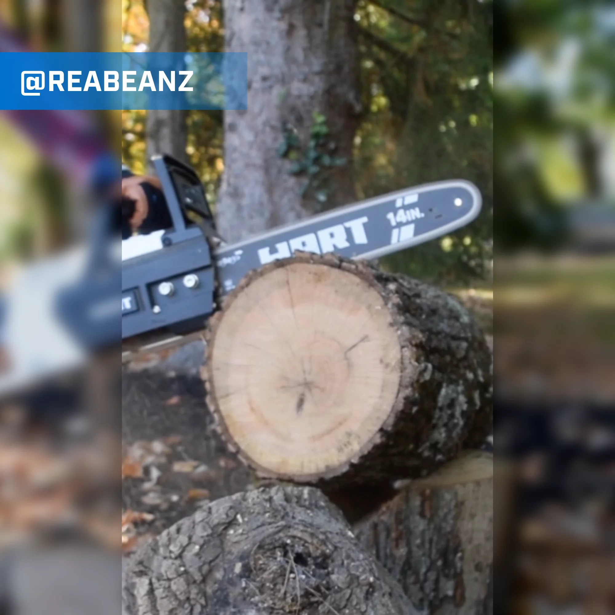 HART 40-Volt 14-inch Battery-Powered Brushless Chainsaw Kit, (1) 4.0Ah Lithium-Ion Battery - Womvr