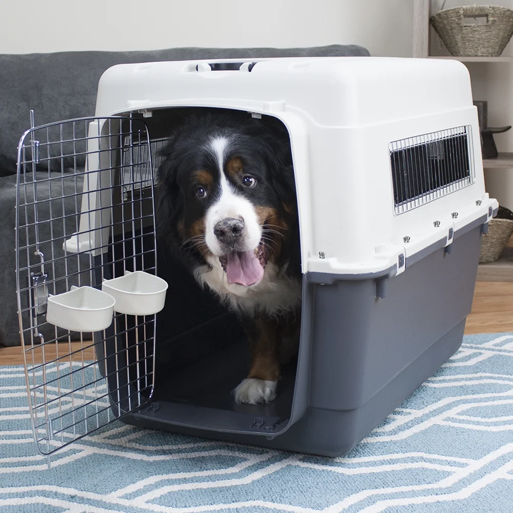 SportPet Designs Plastic Dog IATA Airline Approved Kennel Carrier, Medium, 1 Piece - Womvr