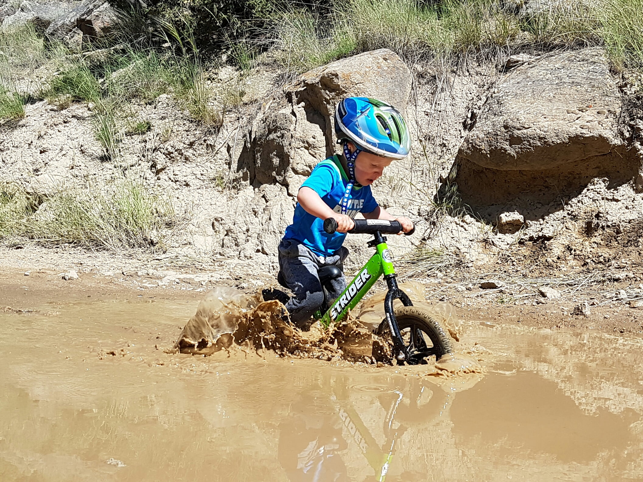 Strider - 12 Sport Balance Bike, Ages 18 Months to 5 Years - Blue - Womvr