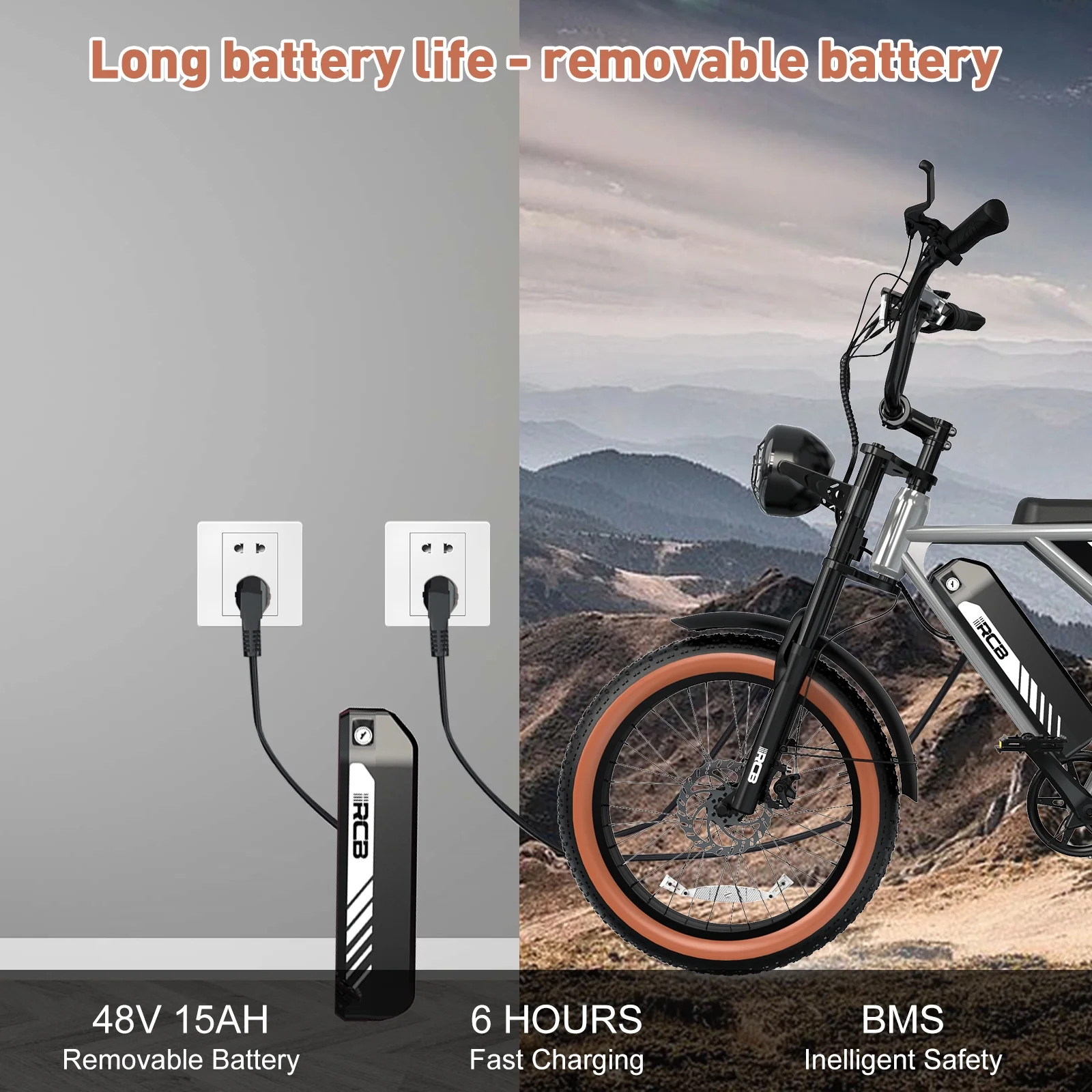 RCB 750W Electric Bike for Adults, 48V 15Ah Removable Li-Ion Battery, 20