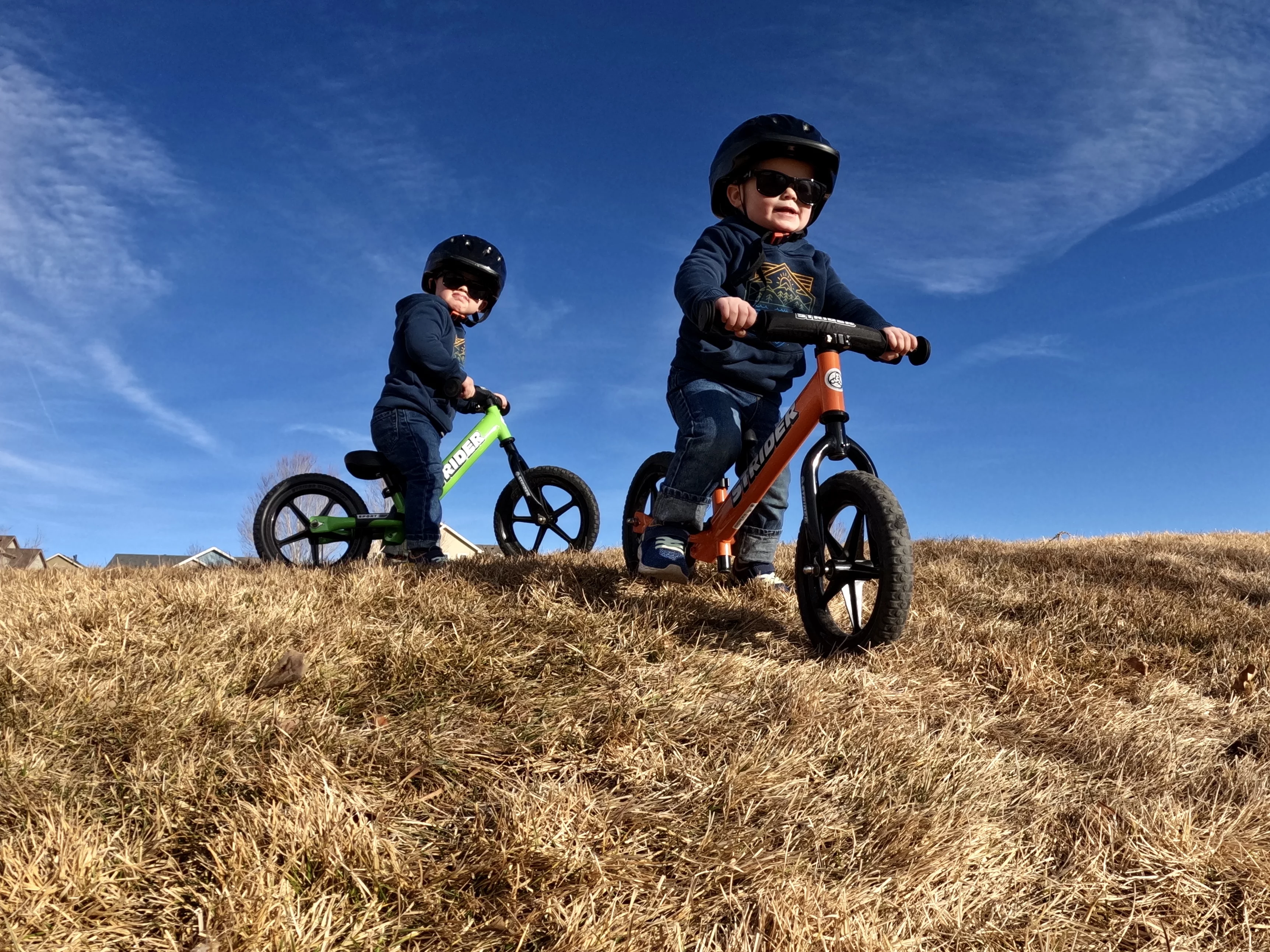 Strider - 12 Sport Balance Bike, Ages 18 Months to 5 Years - Blue - Womvr