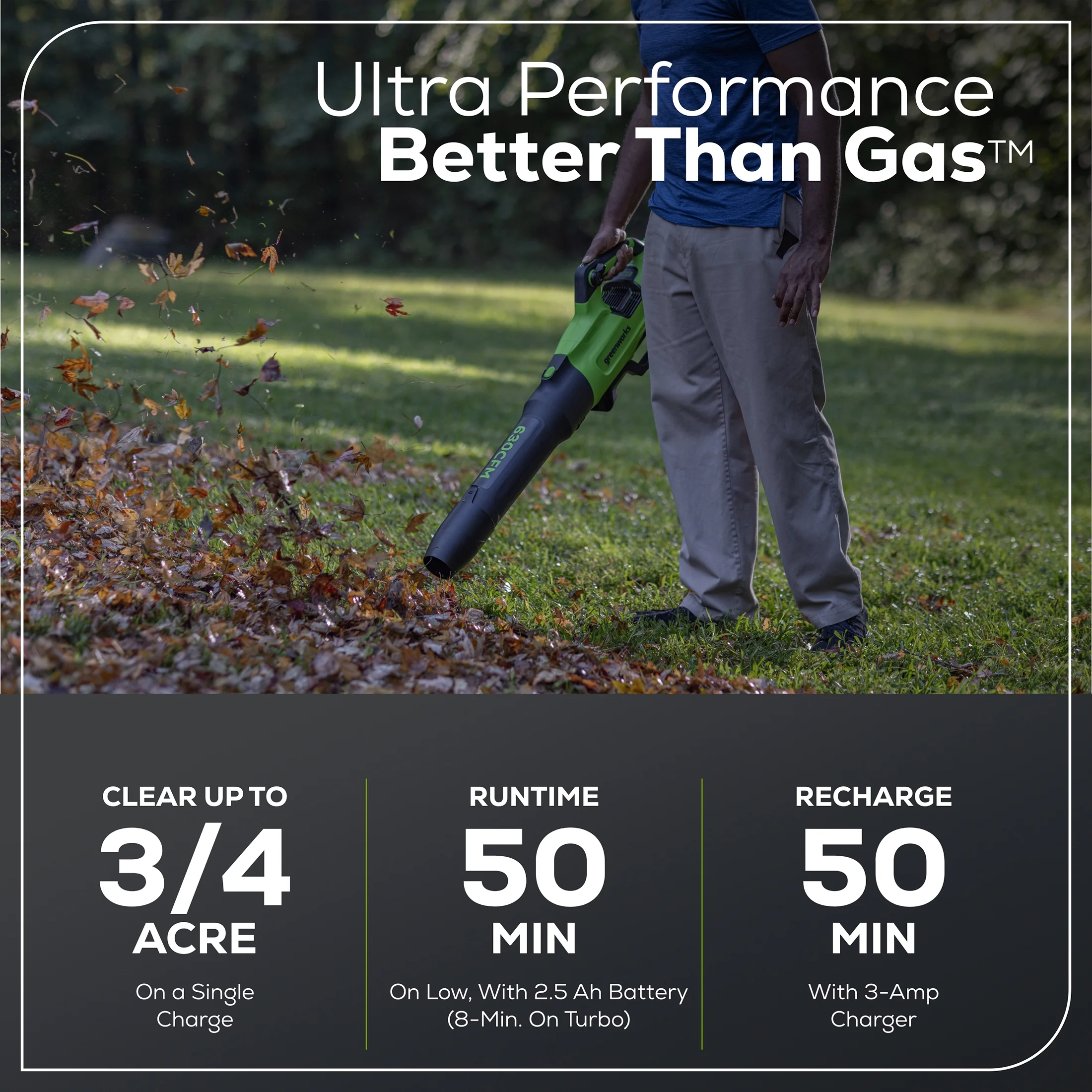 Greenworks 60V 630 CFM 170 MPH Leaf Blower with 2.5 Ah Battery & 3 Amp Charger 2429902 - Womvr