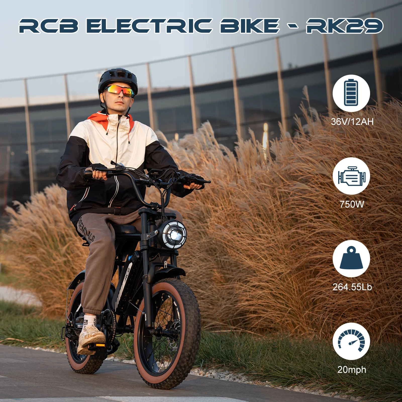 RCB 750W Electric Bike for Adults, 48V 15Ah Removable Li-Ion Battery, 20