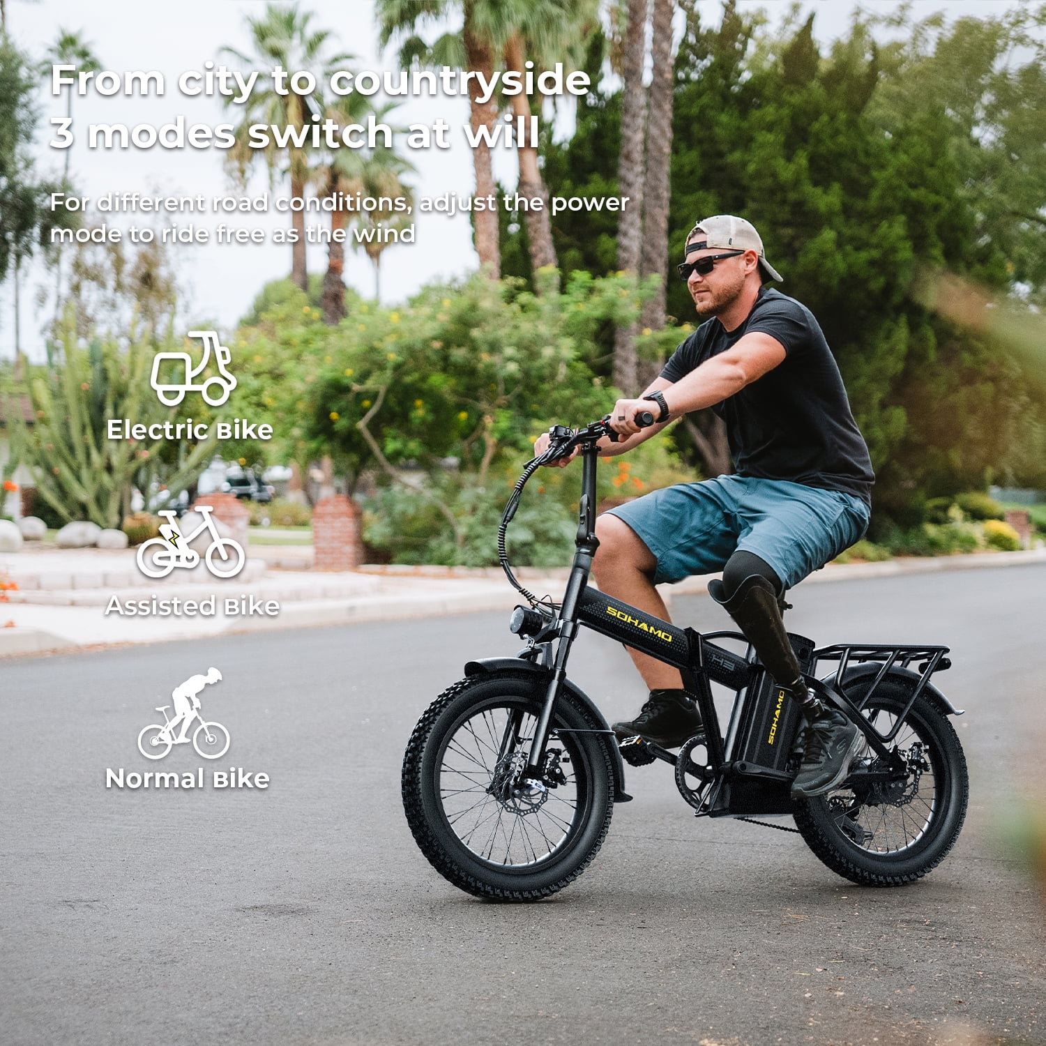 Electric Bike Foldable 20