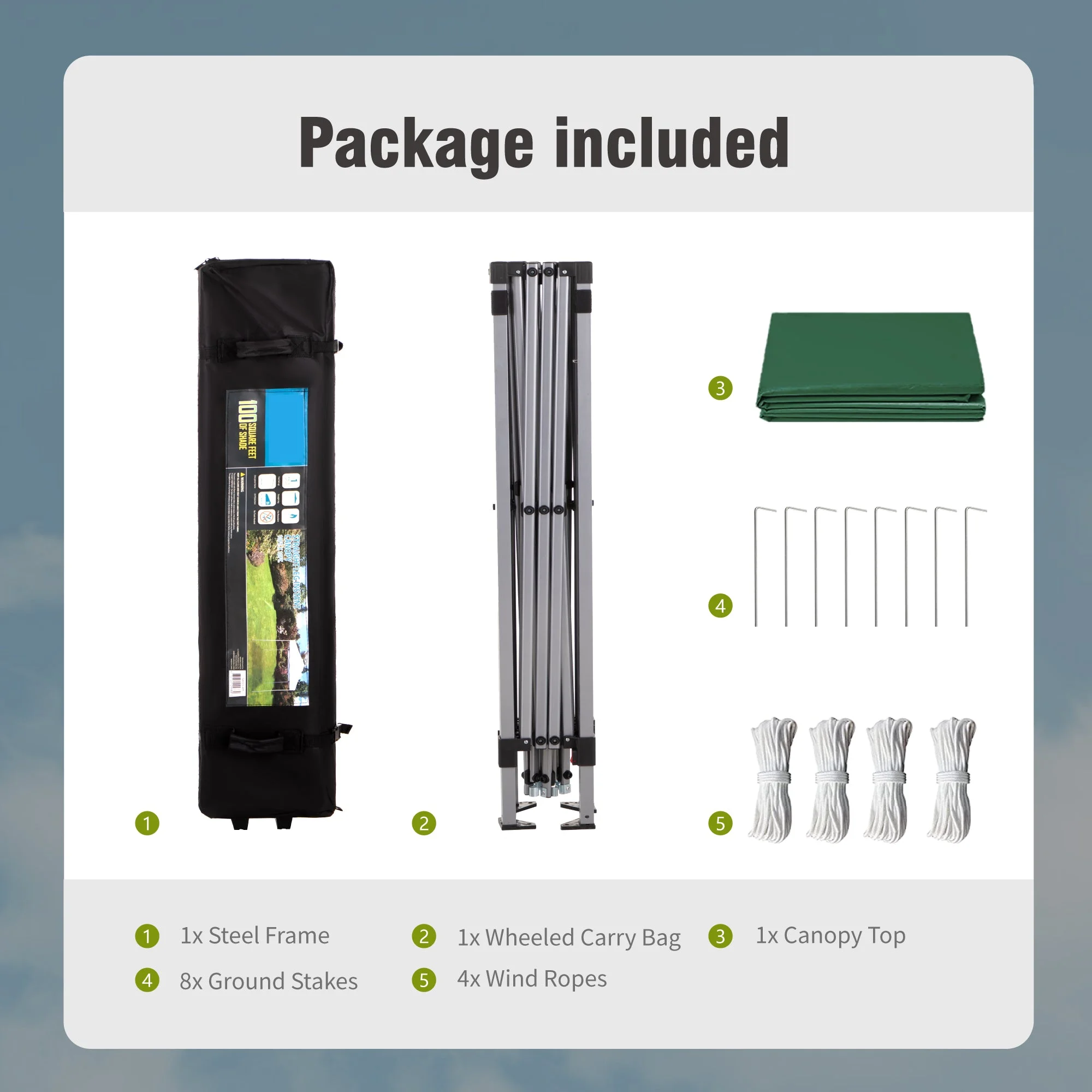 Alpha Joy 10'x 10' Pop up Canopy Tent Outdoor Event Instant Tent with Roller Bag, Blue - Womvr