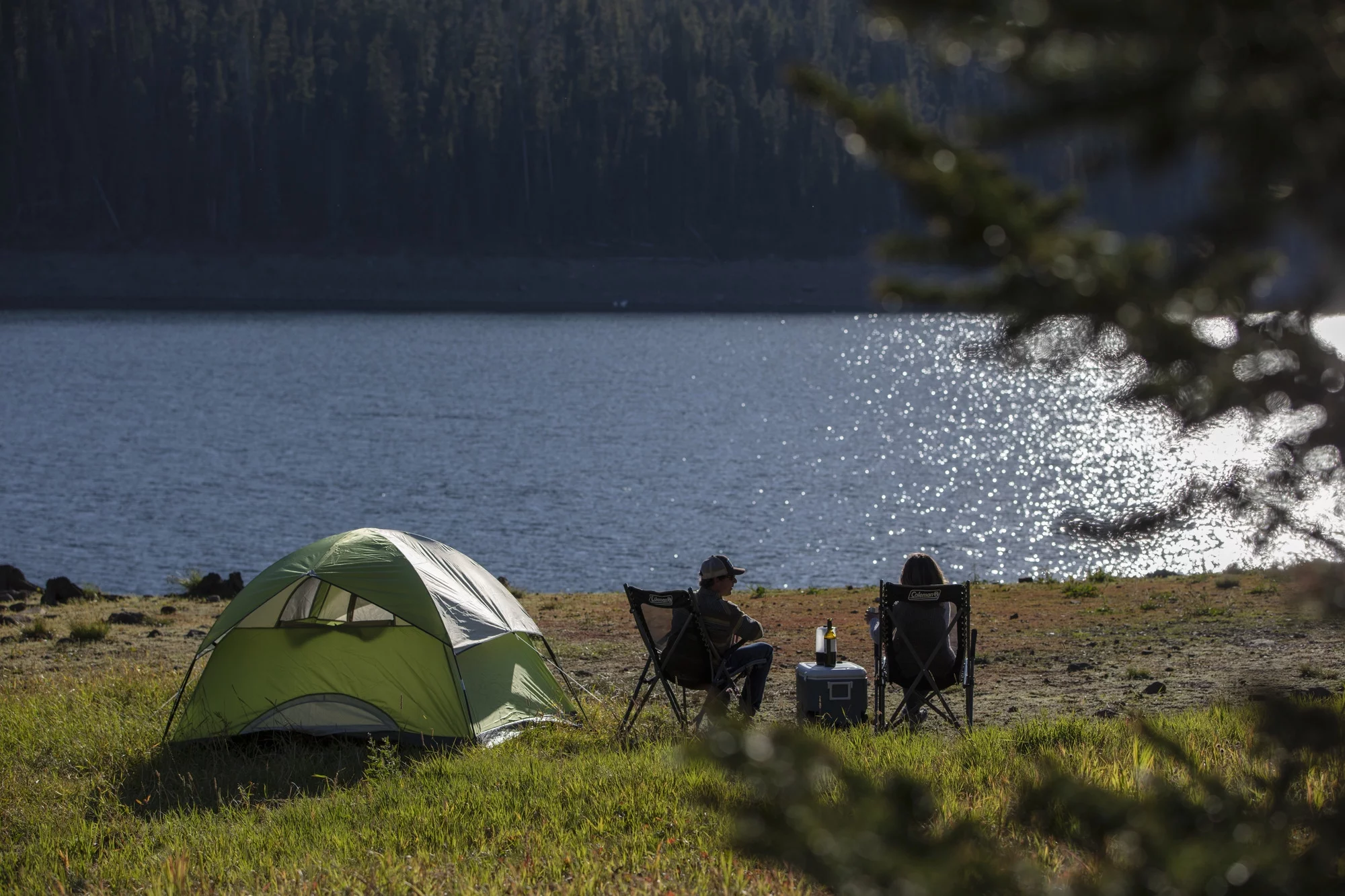 Coleman Sundome 6-Person Dome Tent, 72