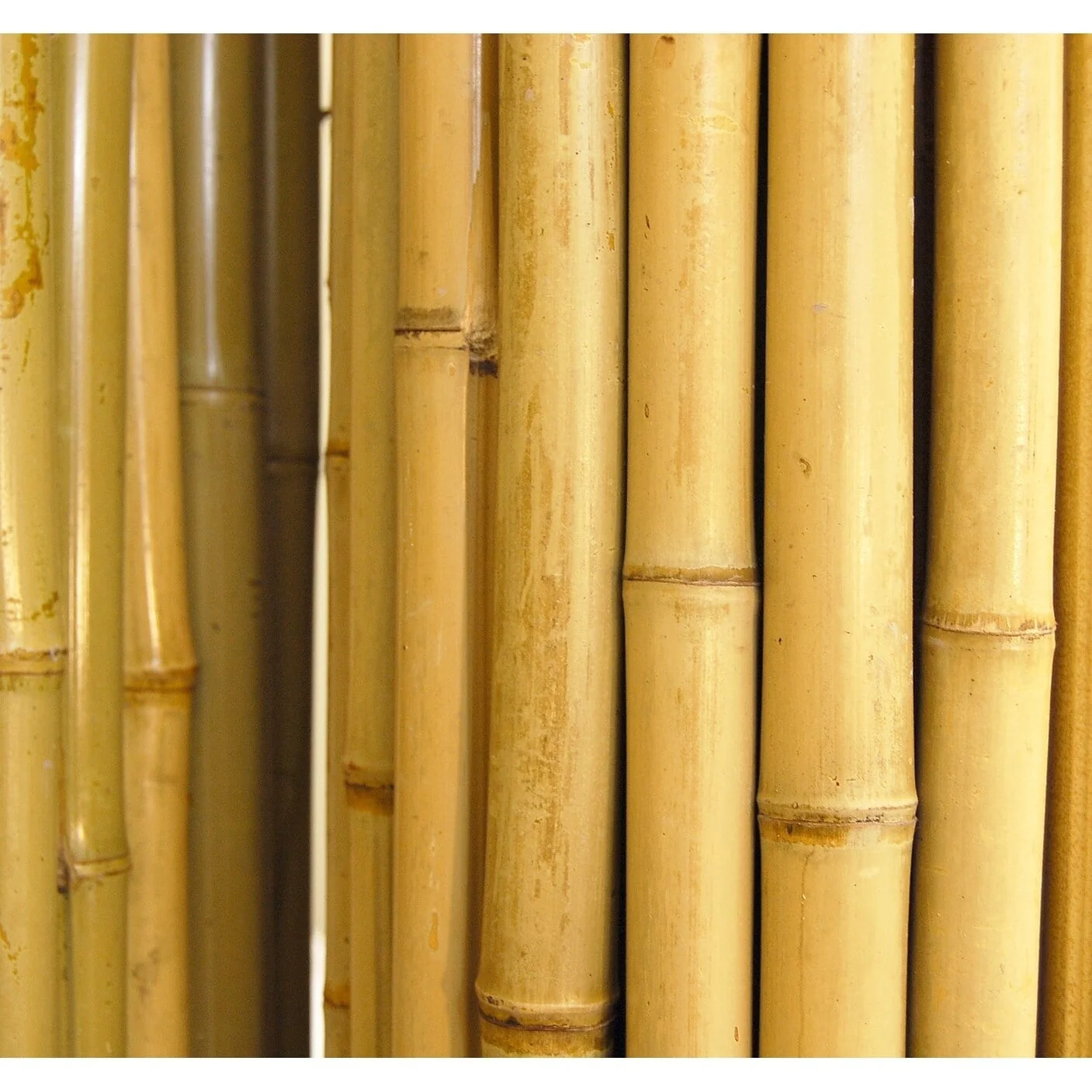 Backyard X-Scapes Natural Bamboo Fencing Garden Screen Rolled Fence Panel 3/4
