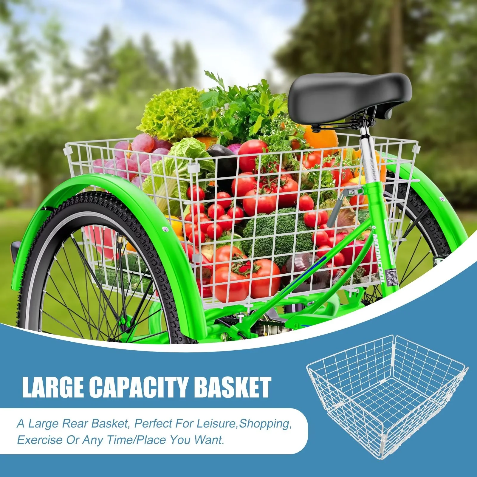 MOPHOTO Adult Tricycle 20/24/26 inch 3 Wheel Bicycle,3 Wheel Bikes for Adults,7 Speed Low Stepover Frame Tricycle with Basket/Bell,3 Wheel Bicycle for Seniors,Women,Men - Womvr