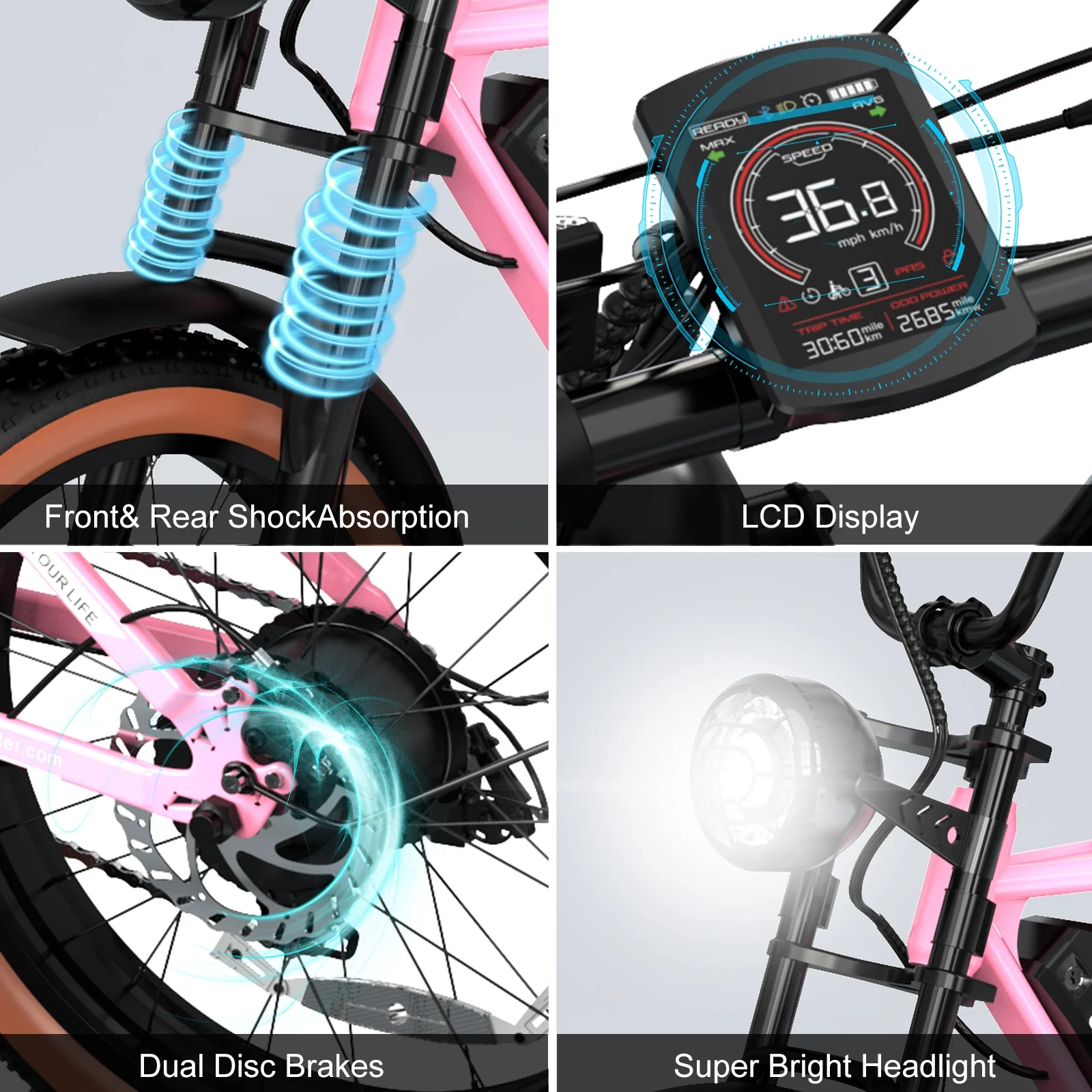 RCB 750W Electric Bike for Adults, 48V 15Ah Removable Li-Ion Battery, 20