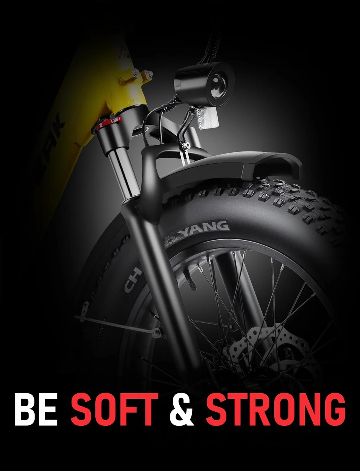 Hipeak 750W Electric Bike for Adults Folding Ebike 48V 15Ah 20