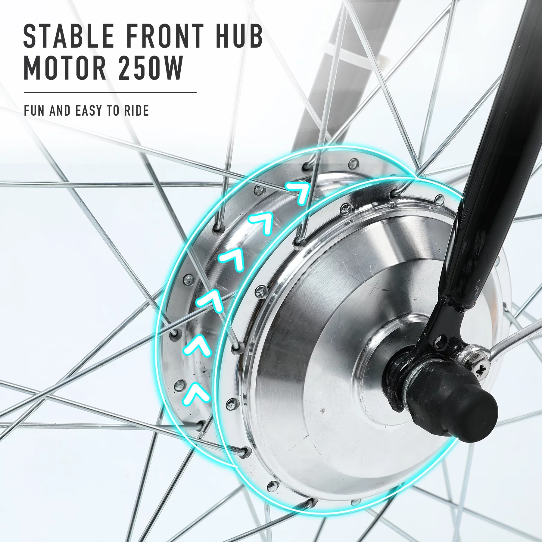 VIRIBUS 24 Inch Electric Trike Bike for Adults 250w 36V 3 Wheel Electric Bicycle for Women Men, Black - Womvr