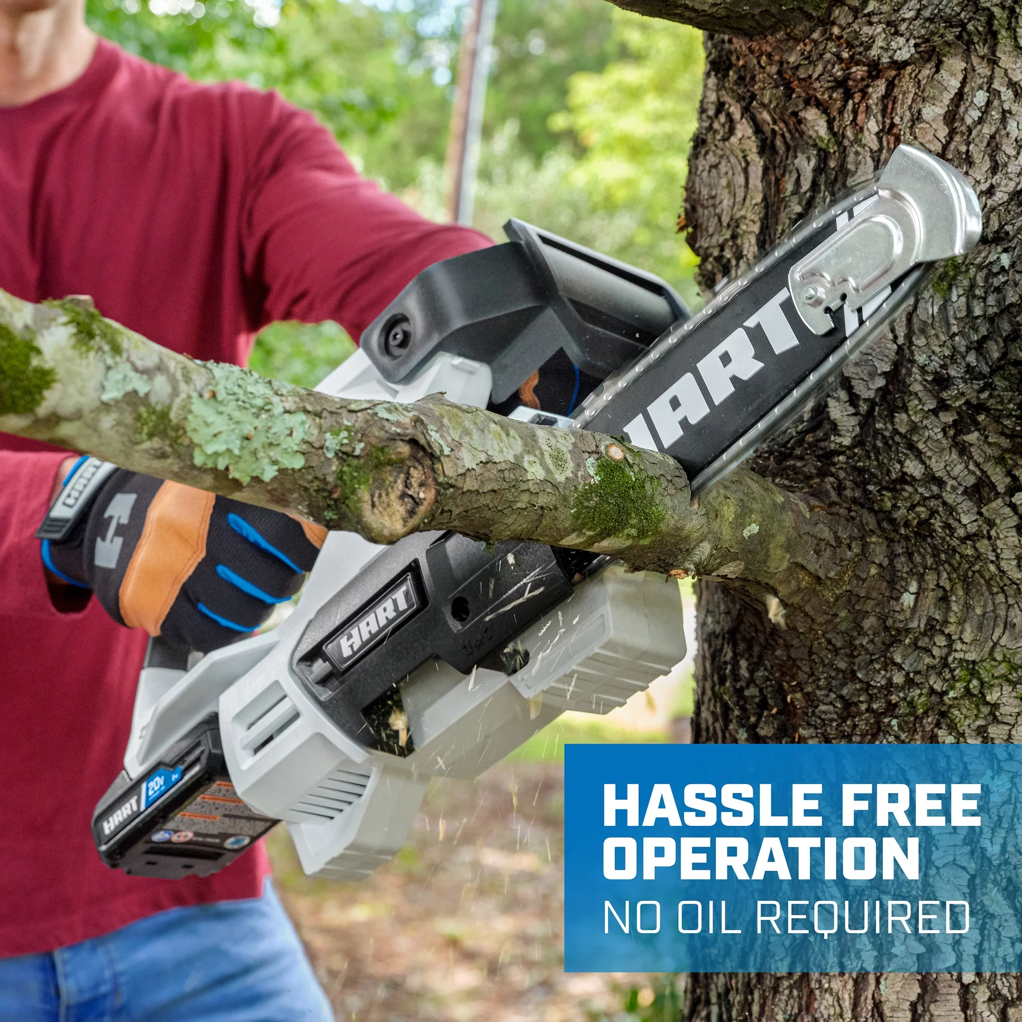 HART 20-Volt 8-inch Battery-Powered Pruning Chainsaw Kit, (1) 2.0Ah Lithium-Ion Battery - Womvr