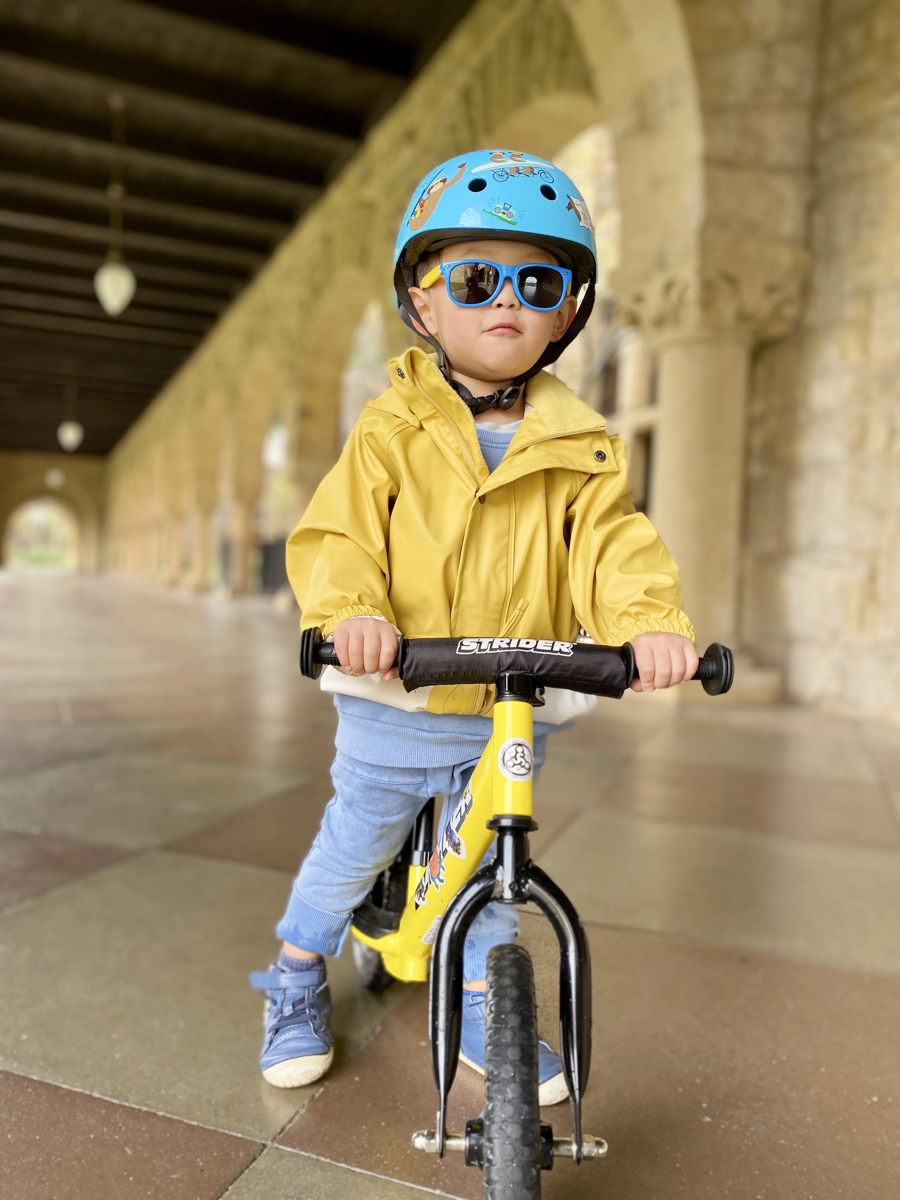 Strider - 12 Sport Balance Bike, Ages 18 Months to 5 Years - Blue - Womvr